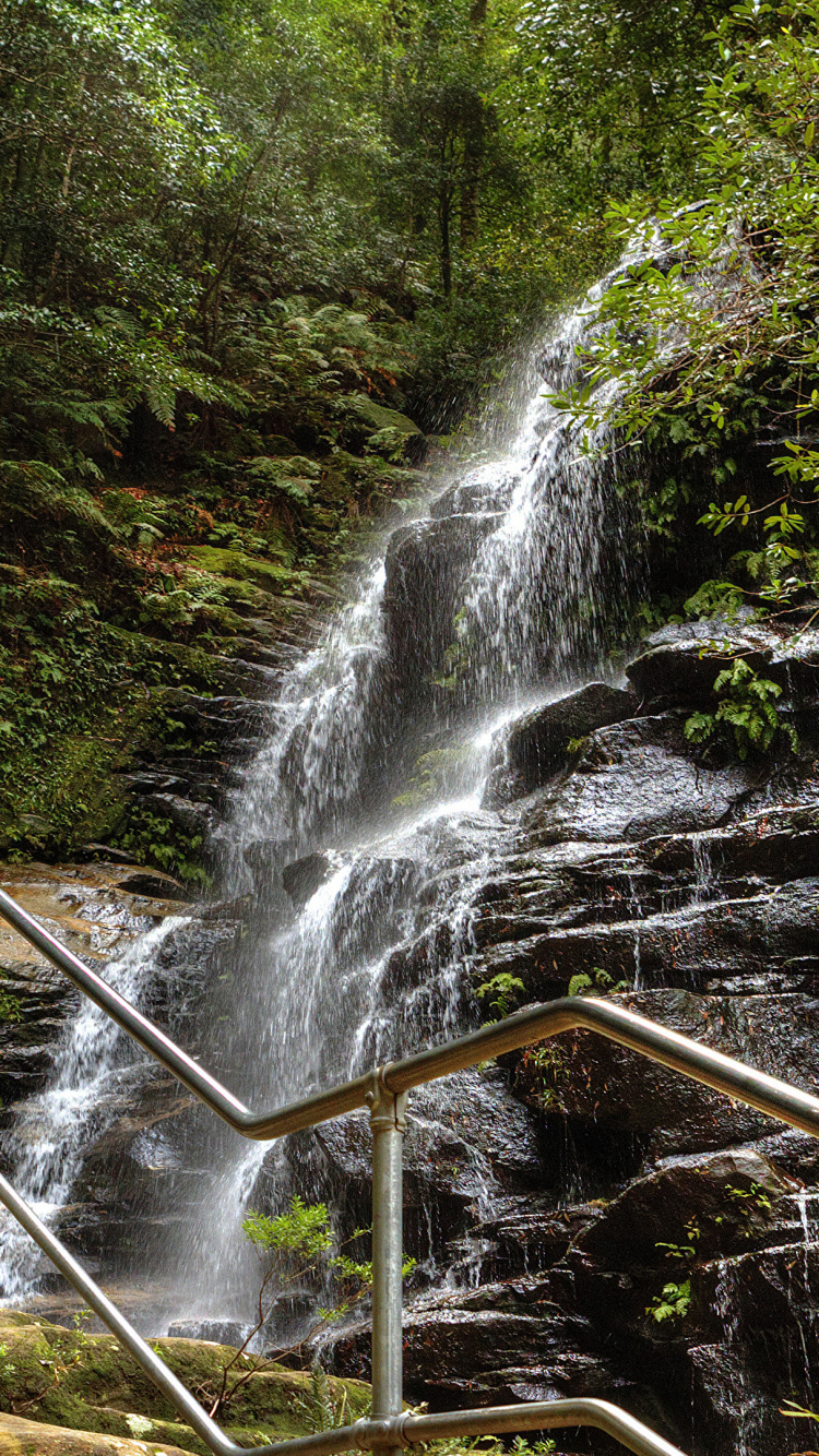 L'eau Tombe au Milieu de la Forêt. Wallpaper in 750x1334 Resolution