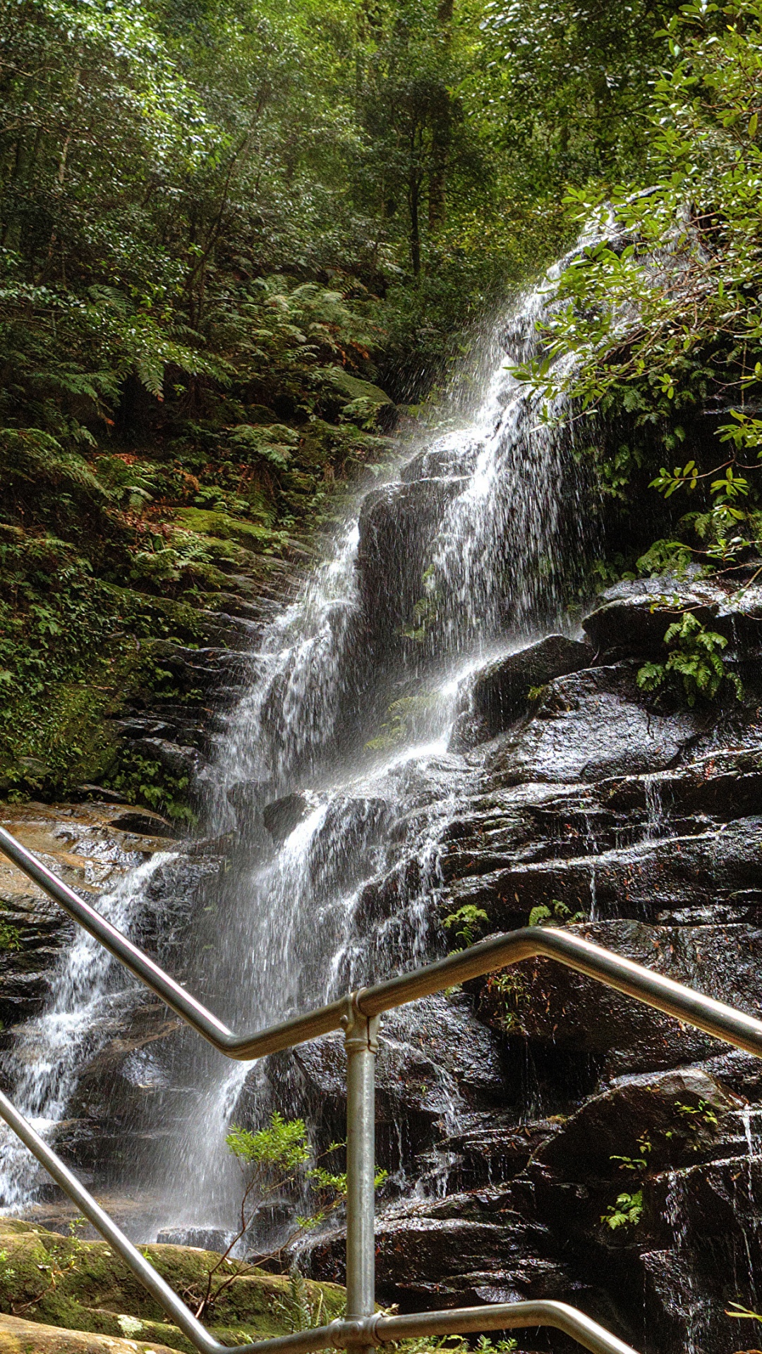 Water Falls in The Middle of The Forest. Wallpaper in 1080x1920 Resolution