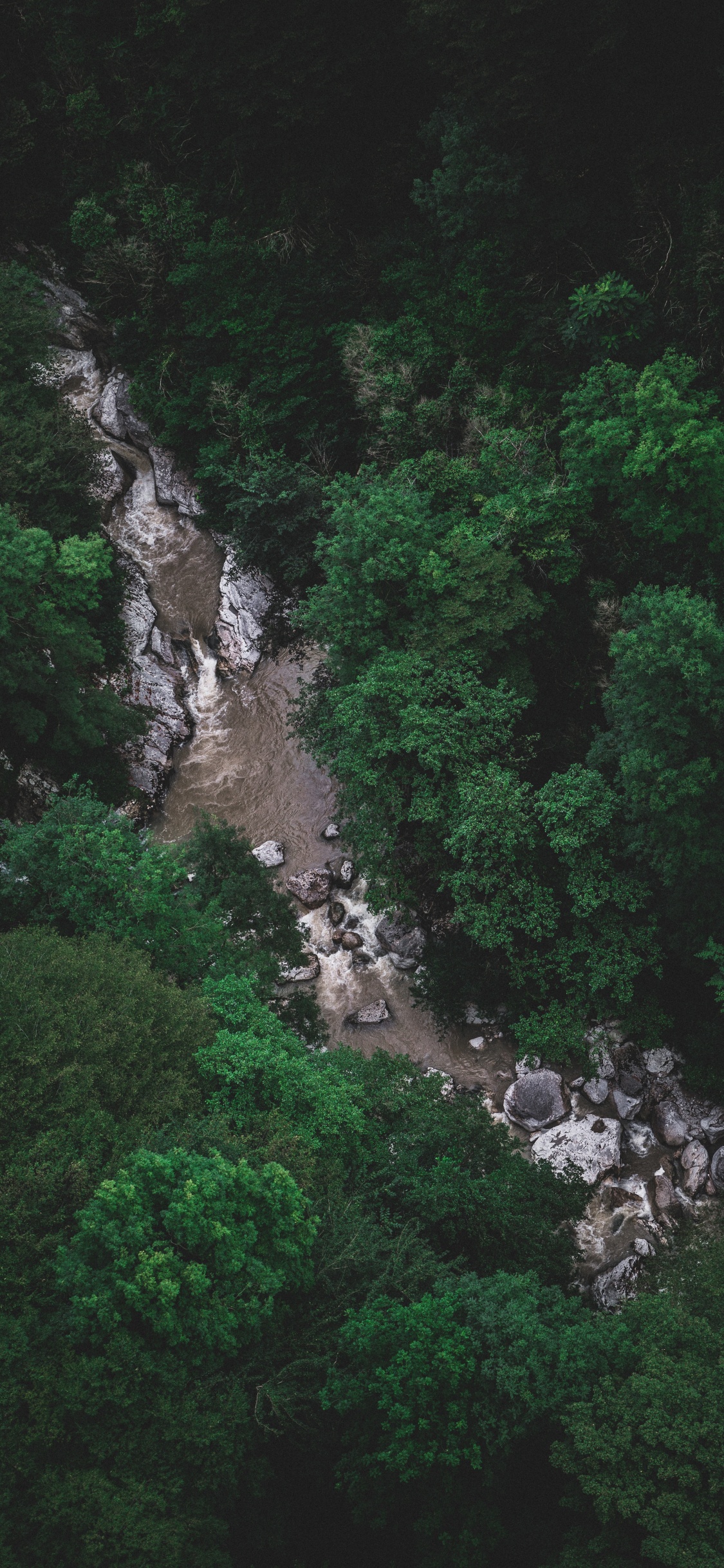 Vegetation, Gr, Naturschutzgebiet, Wasser, Wasserlauf. Wallpaper in 1125x2436 Resolution