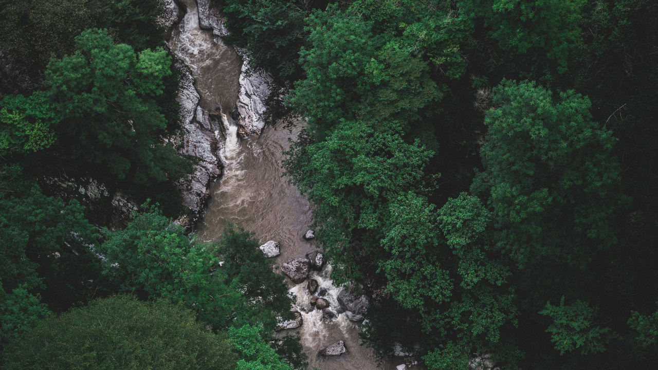 Vegetation, Gr, Naturschutzgebiet, Wasser, Wasserlauf. Wallpaper in 1280x720 Resolution
