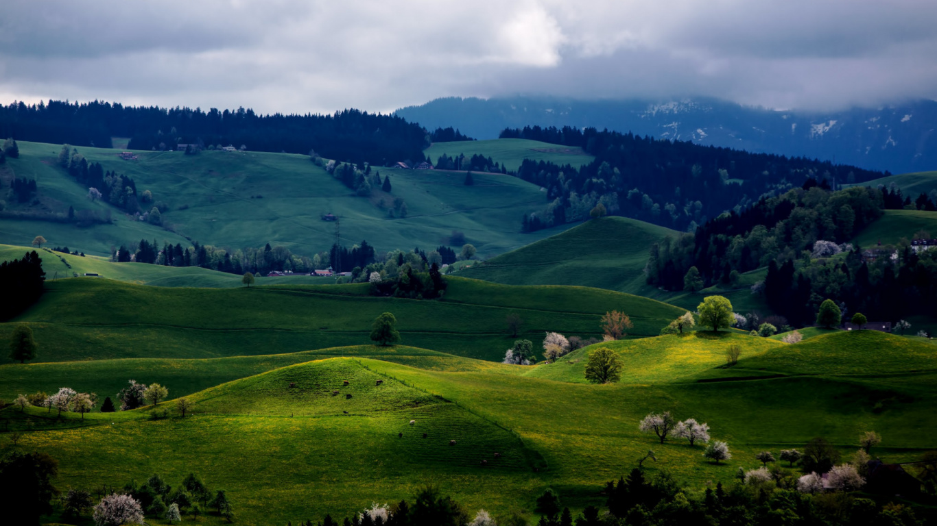 Grassland, Cloud, Plant, Mountain, Ecoregion. Wallpaper in 1366x768 Resolution