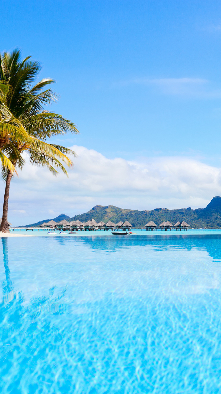 波拉波拉岛, 度假, 旅行, 热带地区, 加勒比 壁纸 750x1334 允许