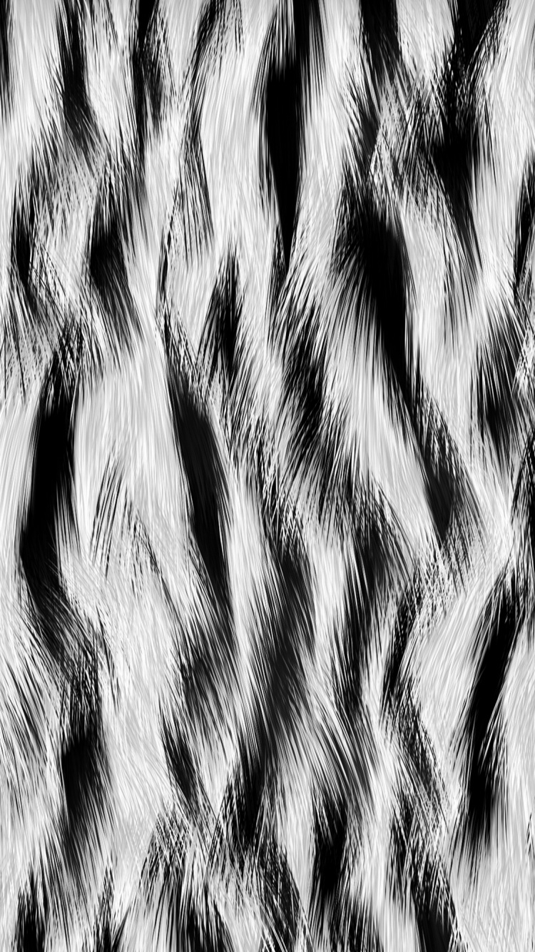 Patrón de Cebra Blanco y Negro. Wallpaper in 750x1334 Resolution