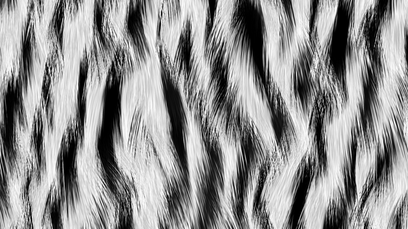 Motif Zébré Noir et Blanc. Wallpaper in 1366x768 Resolution