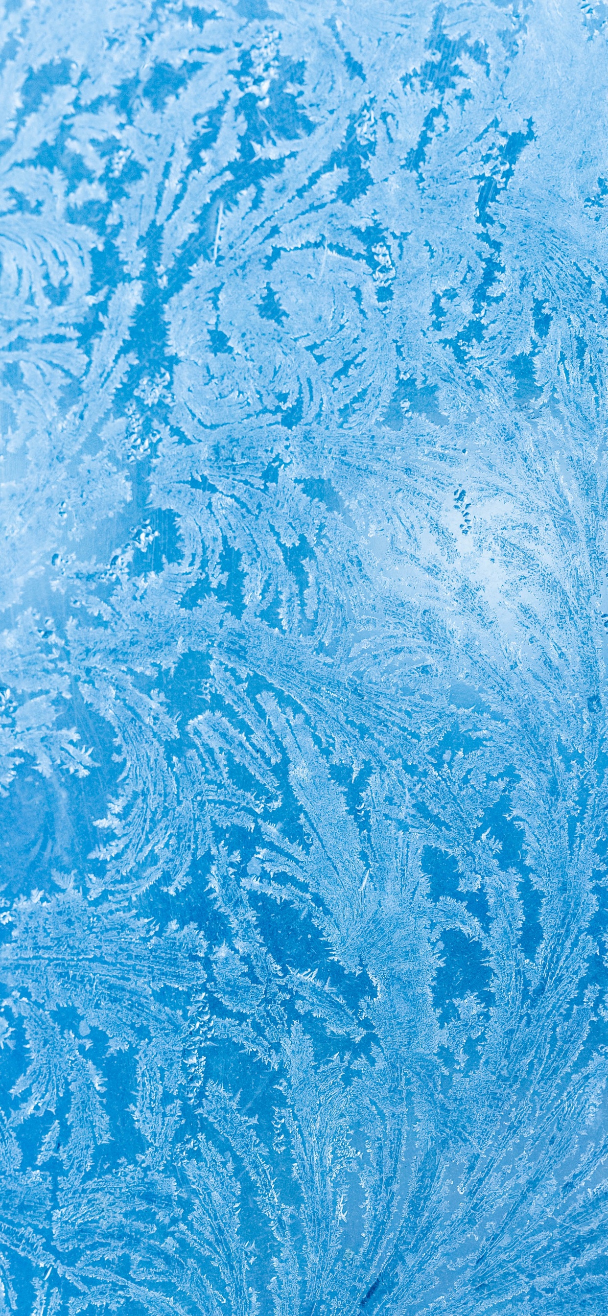 Textile Floral Bleu et Blanc. Wallpaper in 1242x2688 Resolution