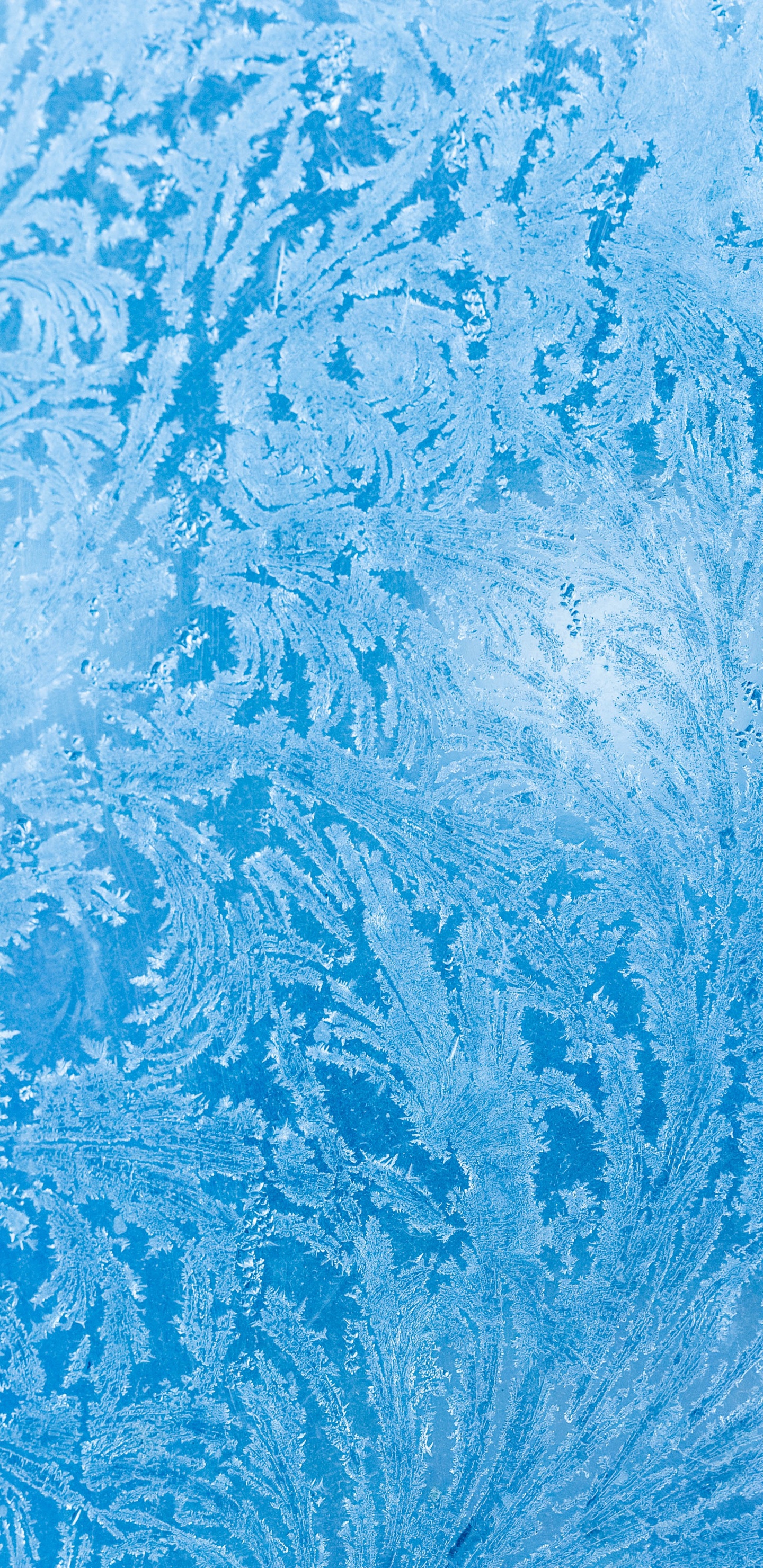 Textile Floral Bleu et Blanc. Wallpaper in 1440x2960 Resolution