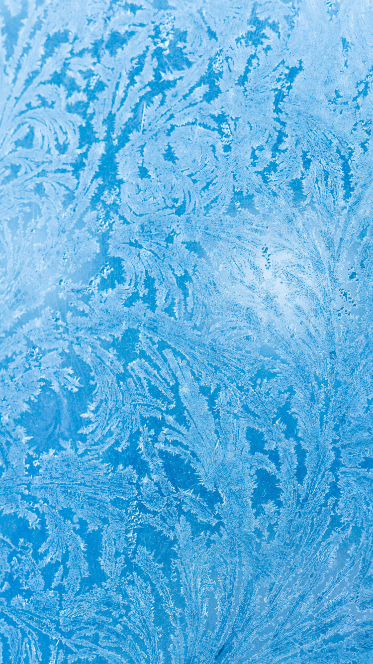 Textile Floral Bleu et Blanc. Wallpaper in 750x1334 Resolution