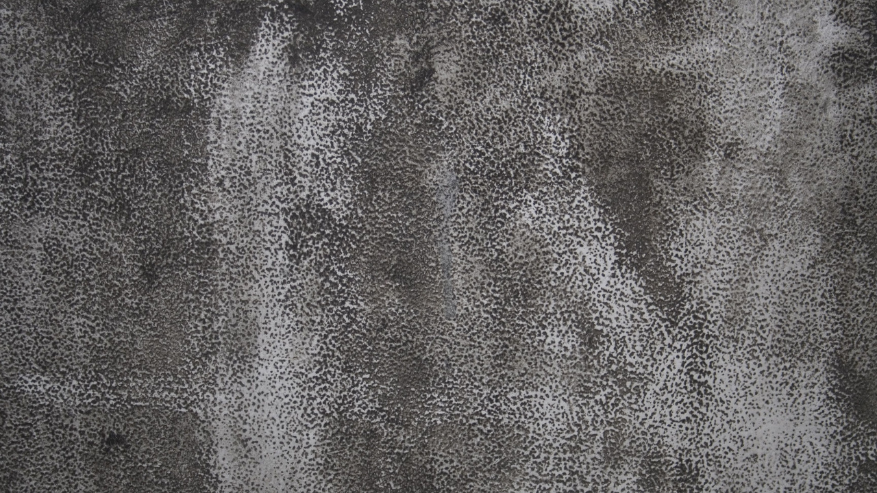 Textile Noir Avec Tache Blanche. Wallpaper in 1280x720 Resolution