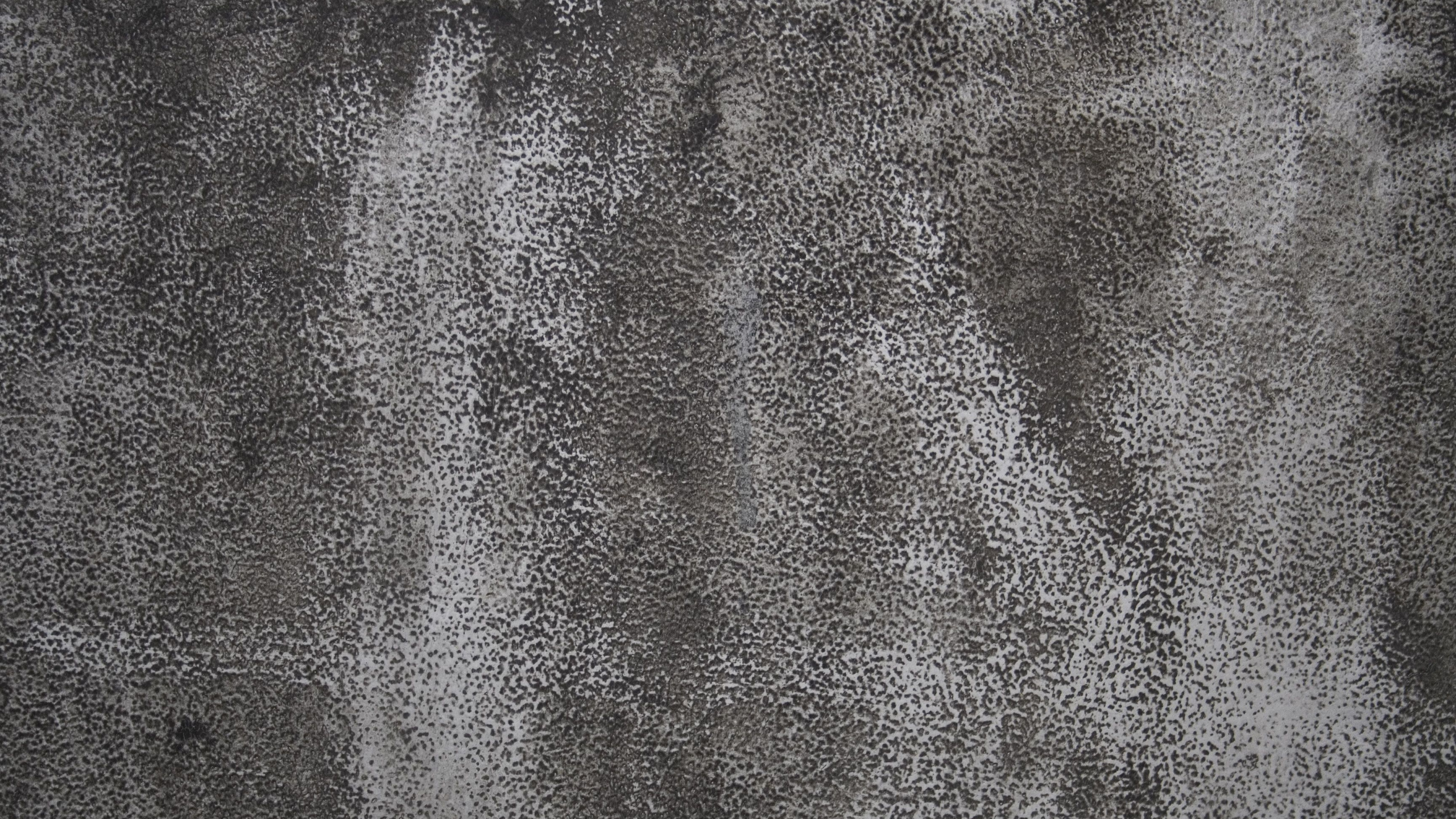 Textile Noir Avec Tache Blanche. Wallpaper in 2560x1440 Resolution