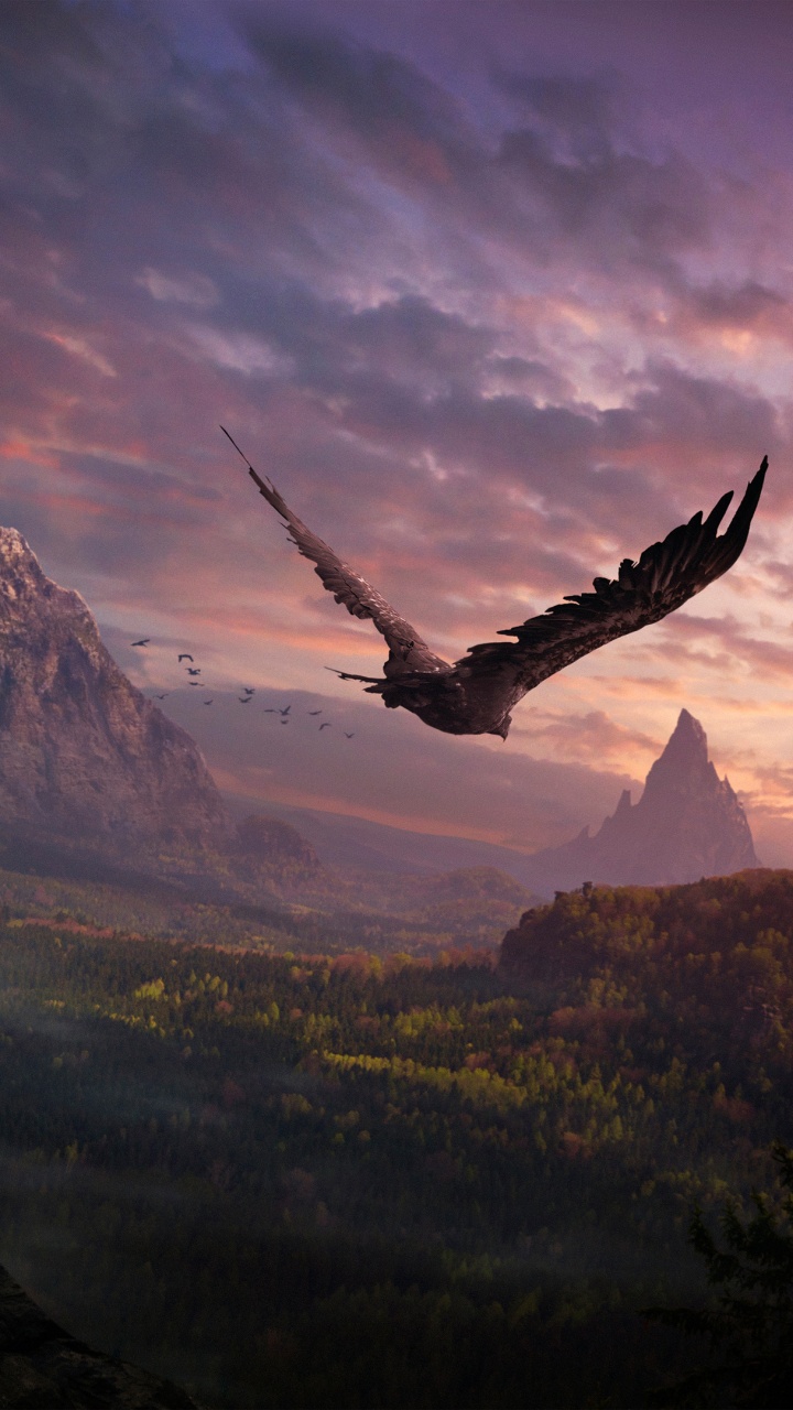 Brown Rock Formation Under Blue Sky During Daytime. Wallpaper in 720x1280 Resolution