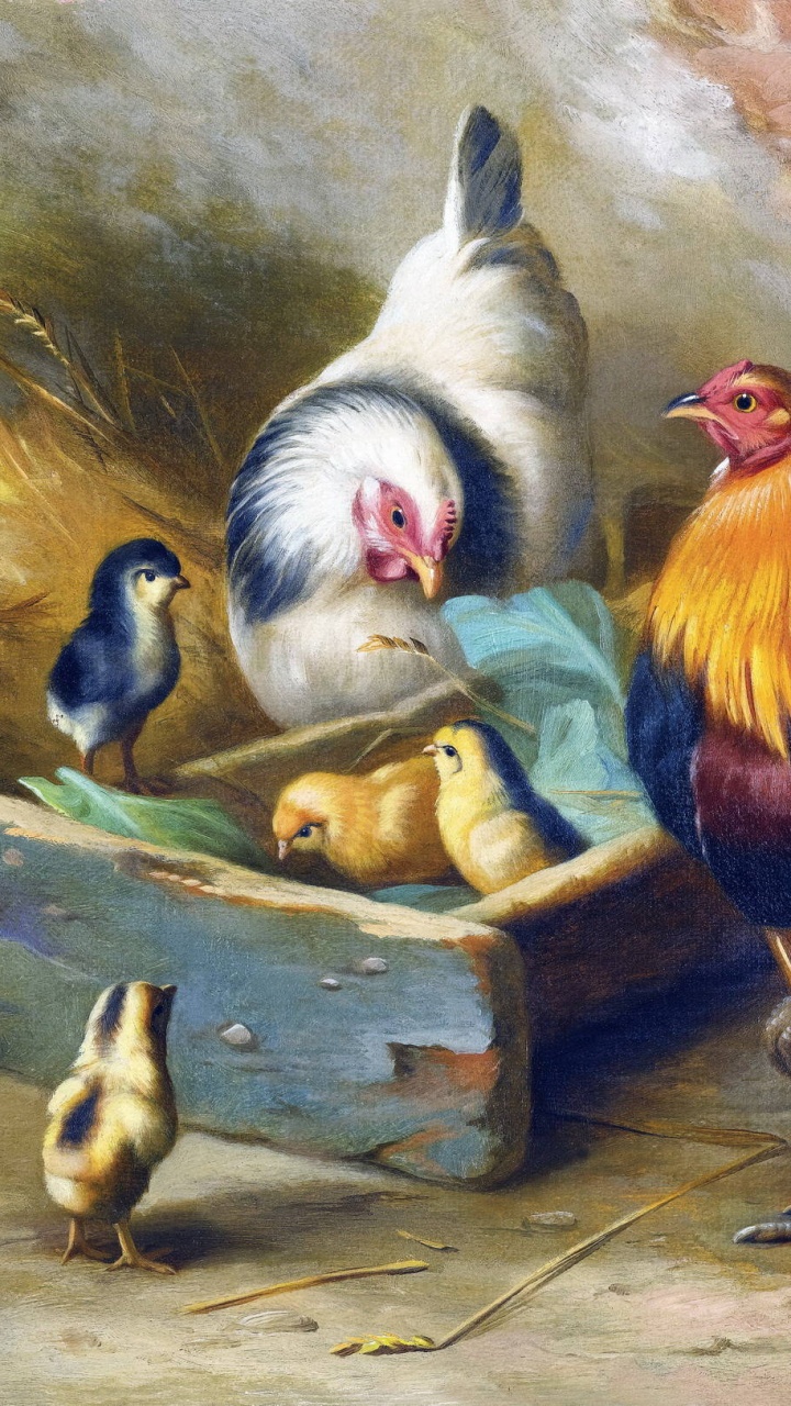 Coq Blanc et Marron Sur Une Table en Bois Marron. Wallpaper in 720x1280 Resolution