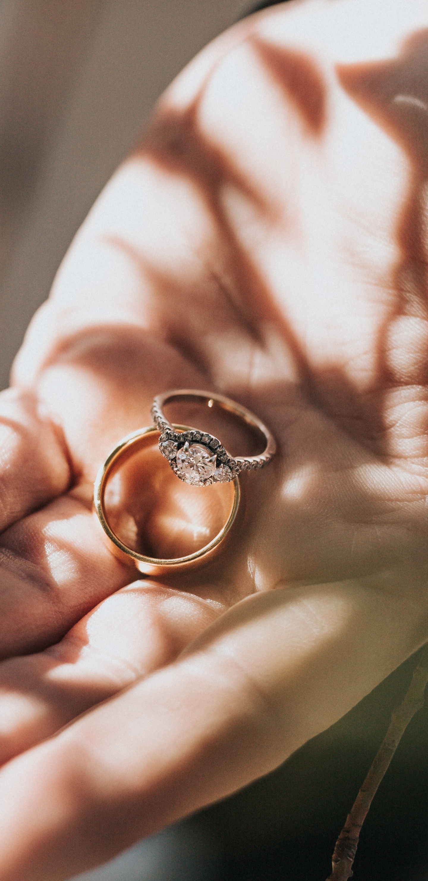 Anillo de Compromiso, Diamante, Joya, Anillo, Anillo de Bodas. Wallpaper in 1440x2960 Resolution