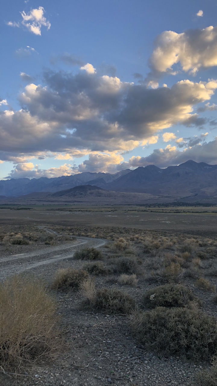 Usa, Nevada, Death Valley, Death Valley National Park, Cloud. Wallpaper in 720x1280 Resolution