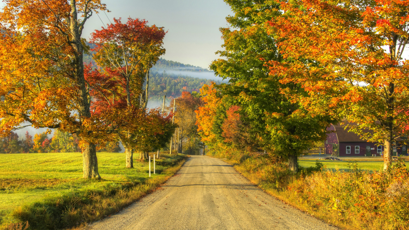 Gray Road Between Green and Brown Trees Under Blue Sky During Daytime. Wallpaper in 1366x768 Resolution