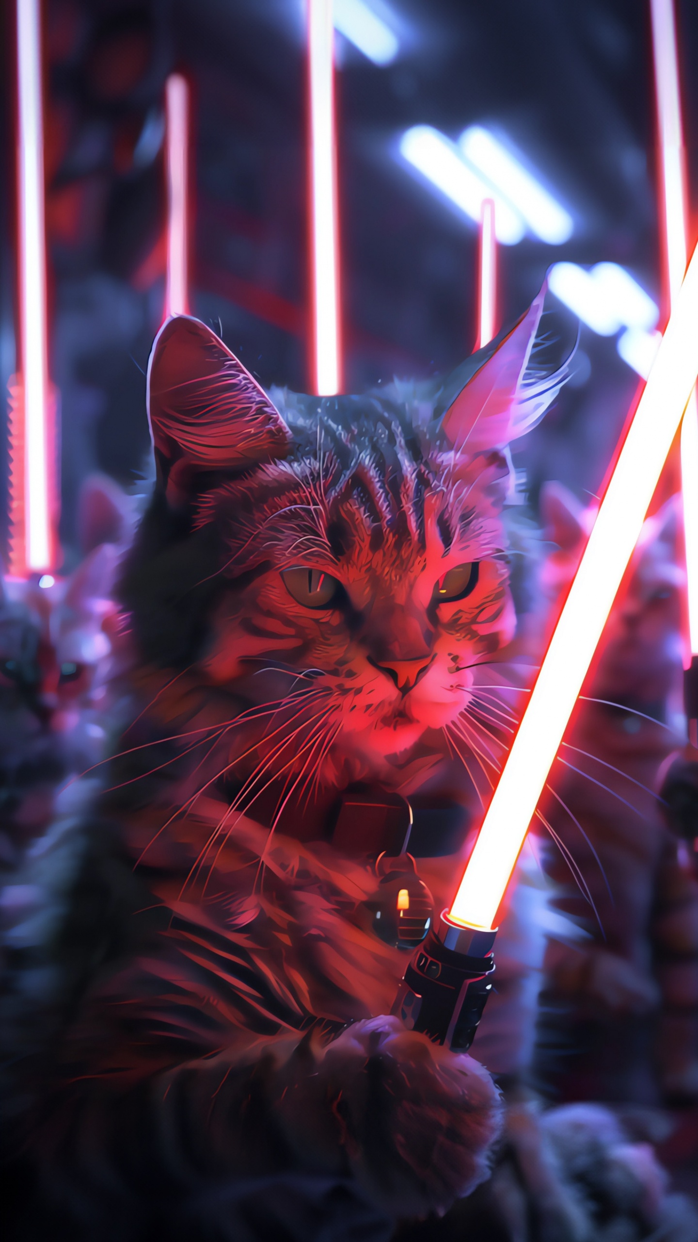 光, 猫科, 紫色的, 中小型猫, 胡须 壁纸 1440x2560 允许