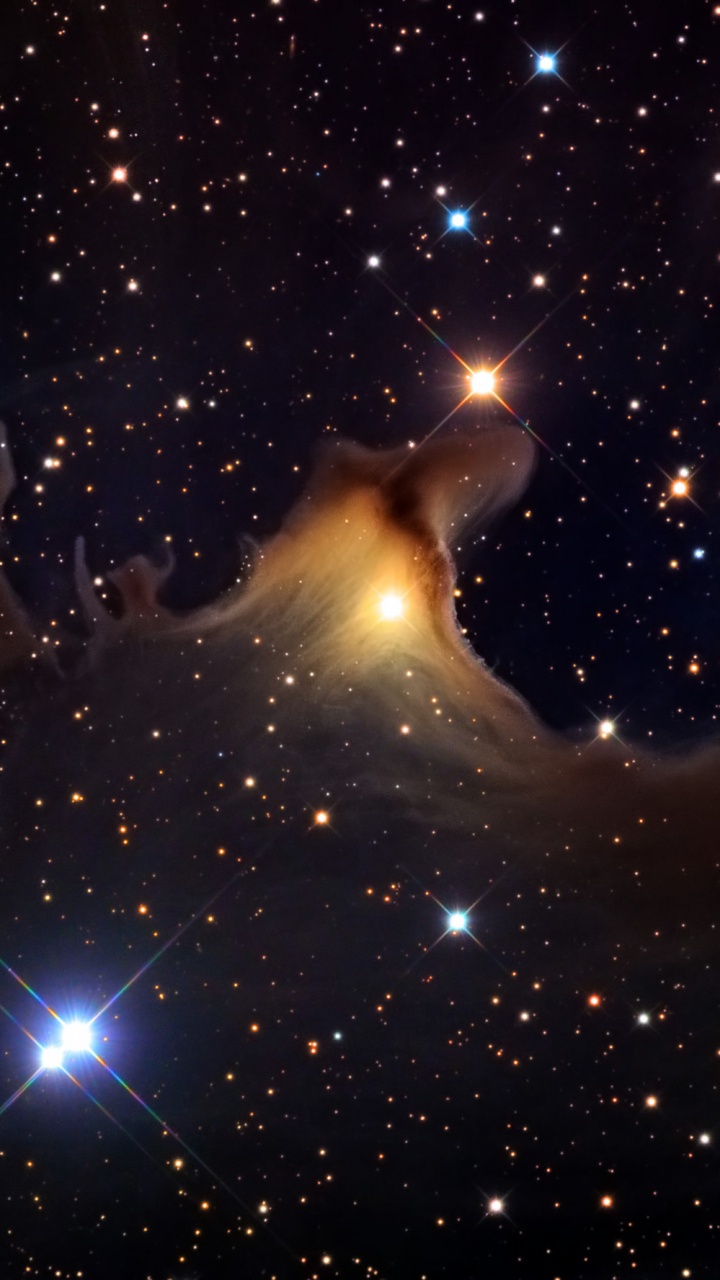 Leute, Die Nachts Sterne am Himmel Beobachten. Wallpaper in 720x1280 Resolution