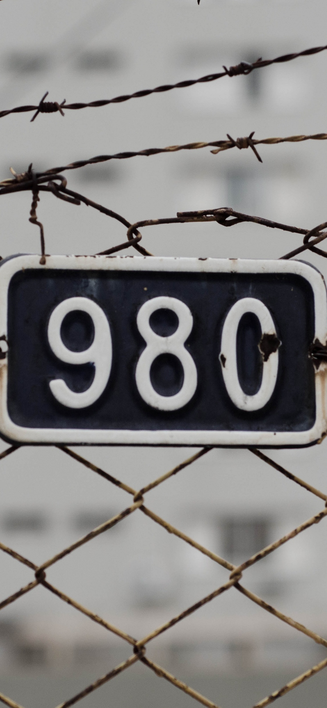 Señal de Prohibido Fumar Azul y Blanco. Wallpaper in 1125x2436 Resolution