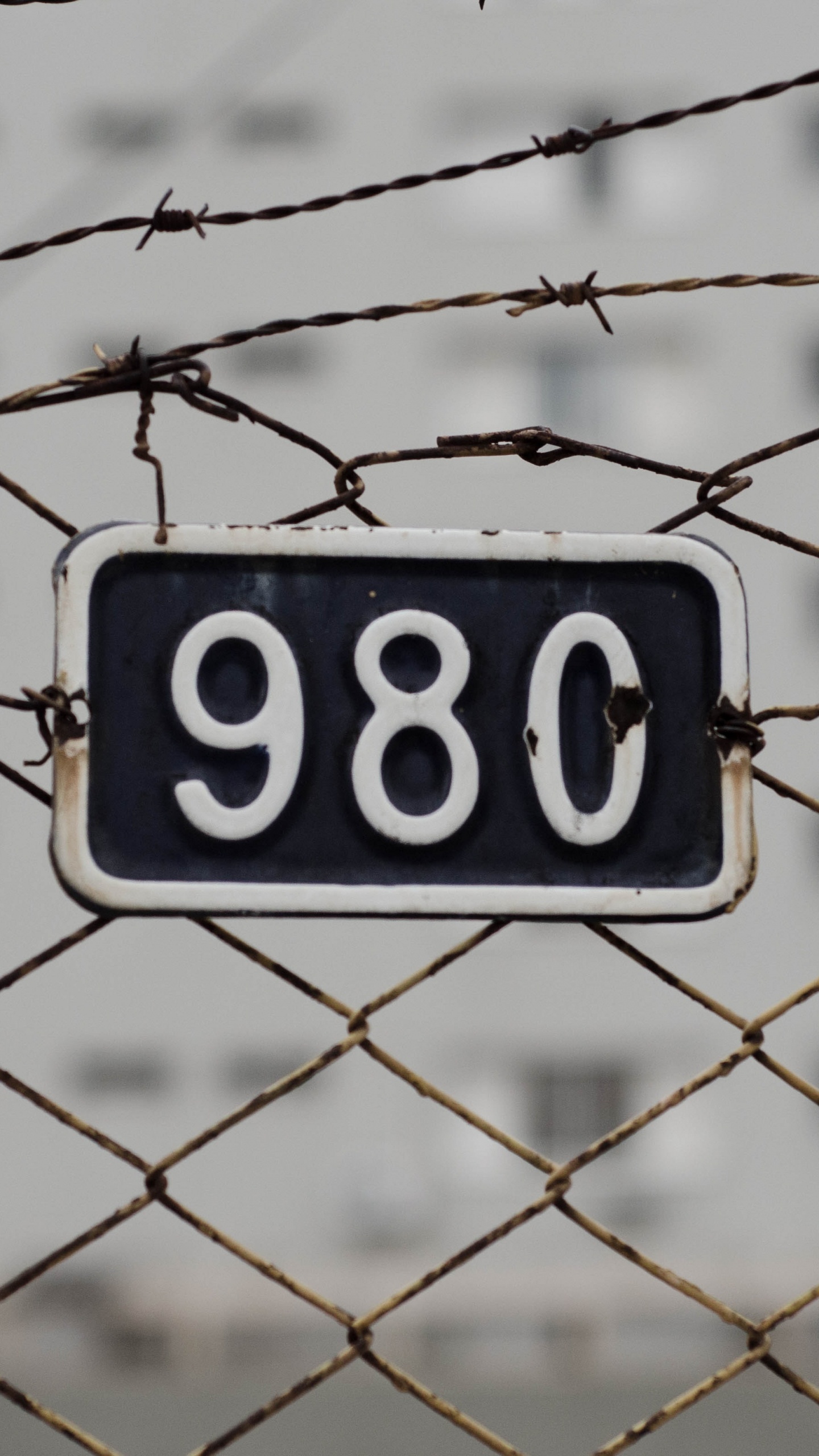 Señal de Prohibido Fumar Azul y Blanco. Wallpaper in 1440x2560 Resolution