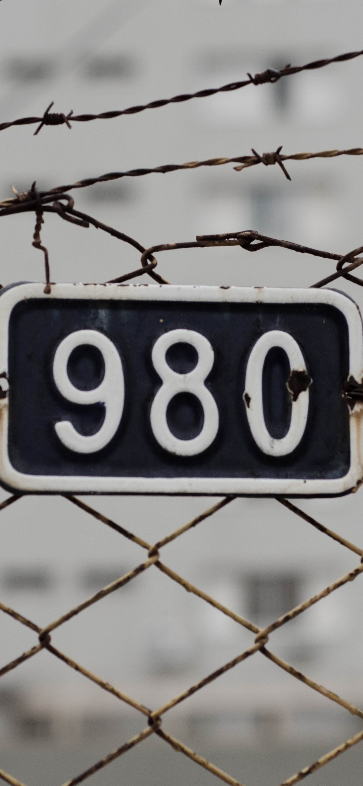 Blue and White no Smoking Sign. Wallpaper in 1242x2688 Resolution