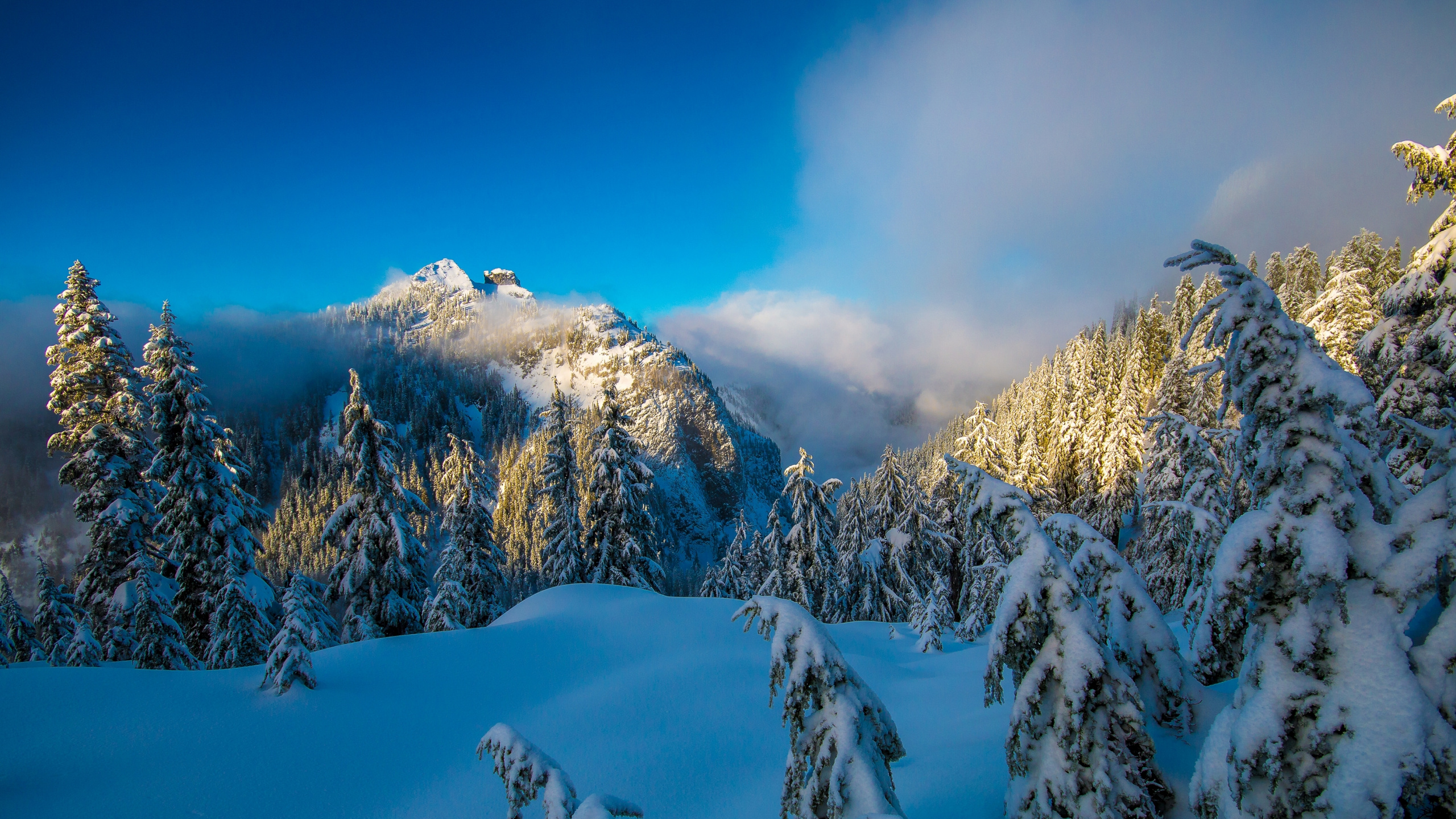 Snow Covered Mountain Under Blue Sky During Daytime. Wallpaper in 2560x1440 Resolution