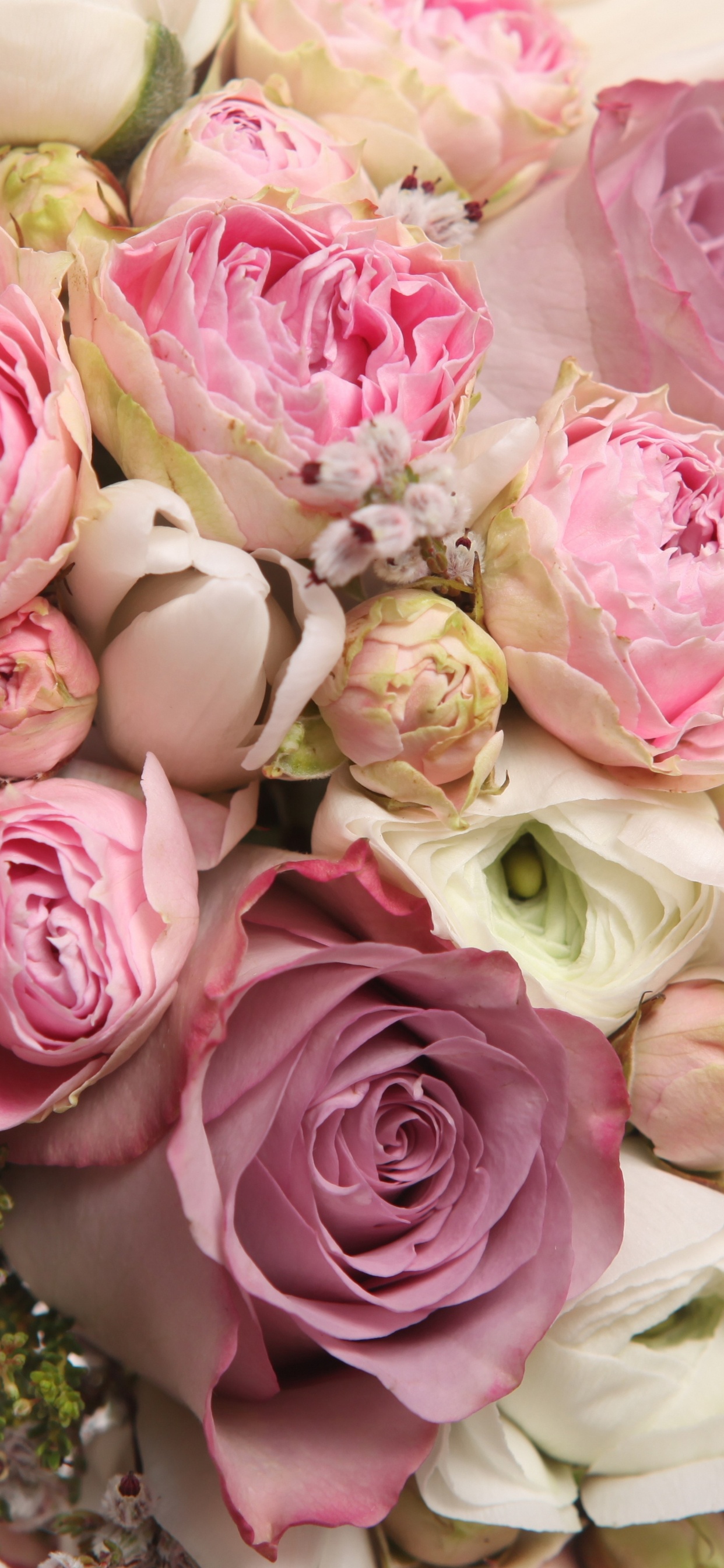 Pink and White Roses Bouquet. Wallpaper in 1242x2688 Resolution
