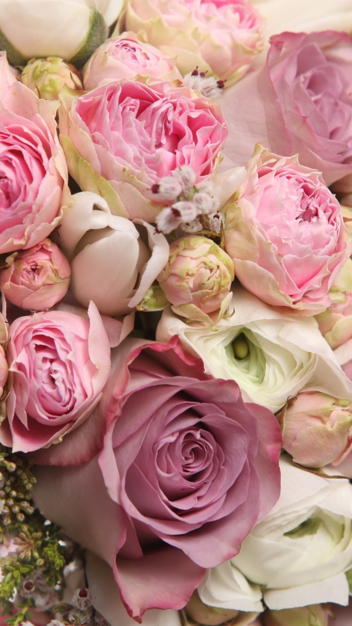 Pink and White Roses Bouquet. Wallpaper in 720x1280 Resolution