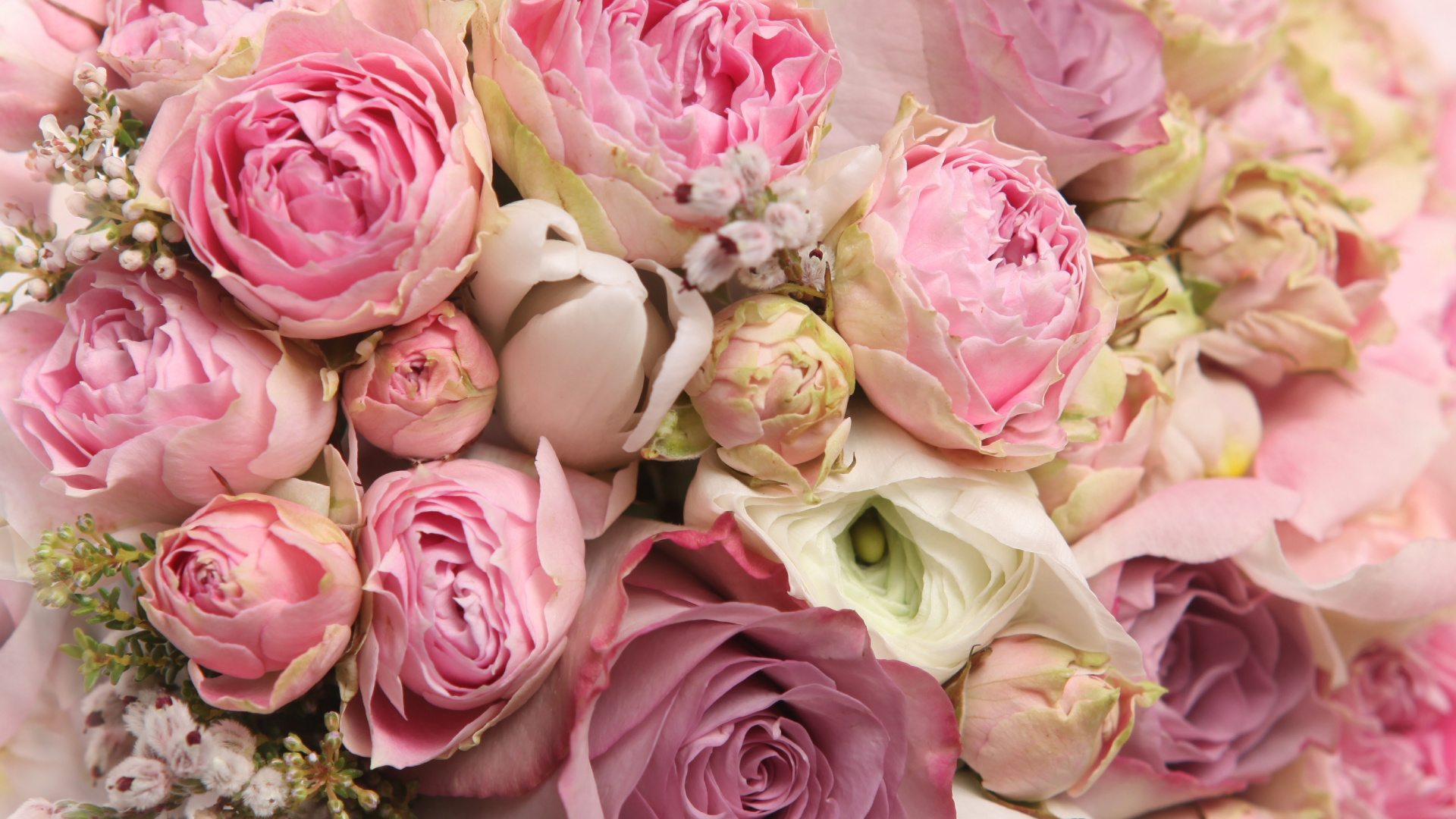 Bouquet de Roses Roses et Blanches. Wallpaper in 1920x1080 Resolution