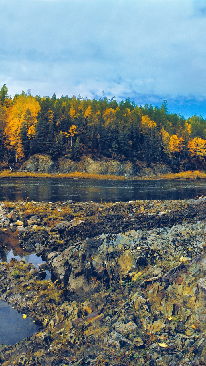 Green Trees Beside River Under Blue Sky During Daytime. Wallpaper in 720x1280 Resolution