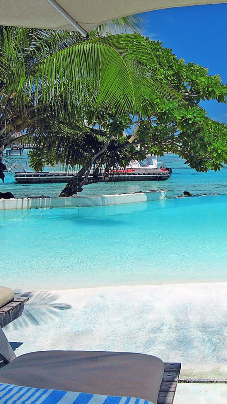 White and Blue Swimming Pool Near Green Palm Trees During Daytime. Wallpaper in 750x1334 Resolution