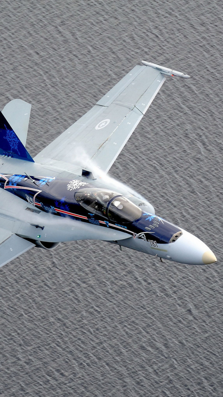 军用飞机, 航空, 航空航天工程, 光飞机, 翼 壁纸 750x1334 允许