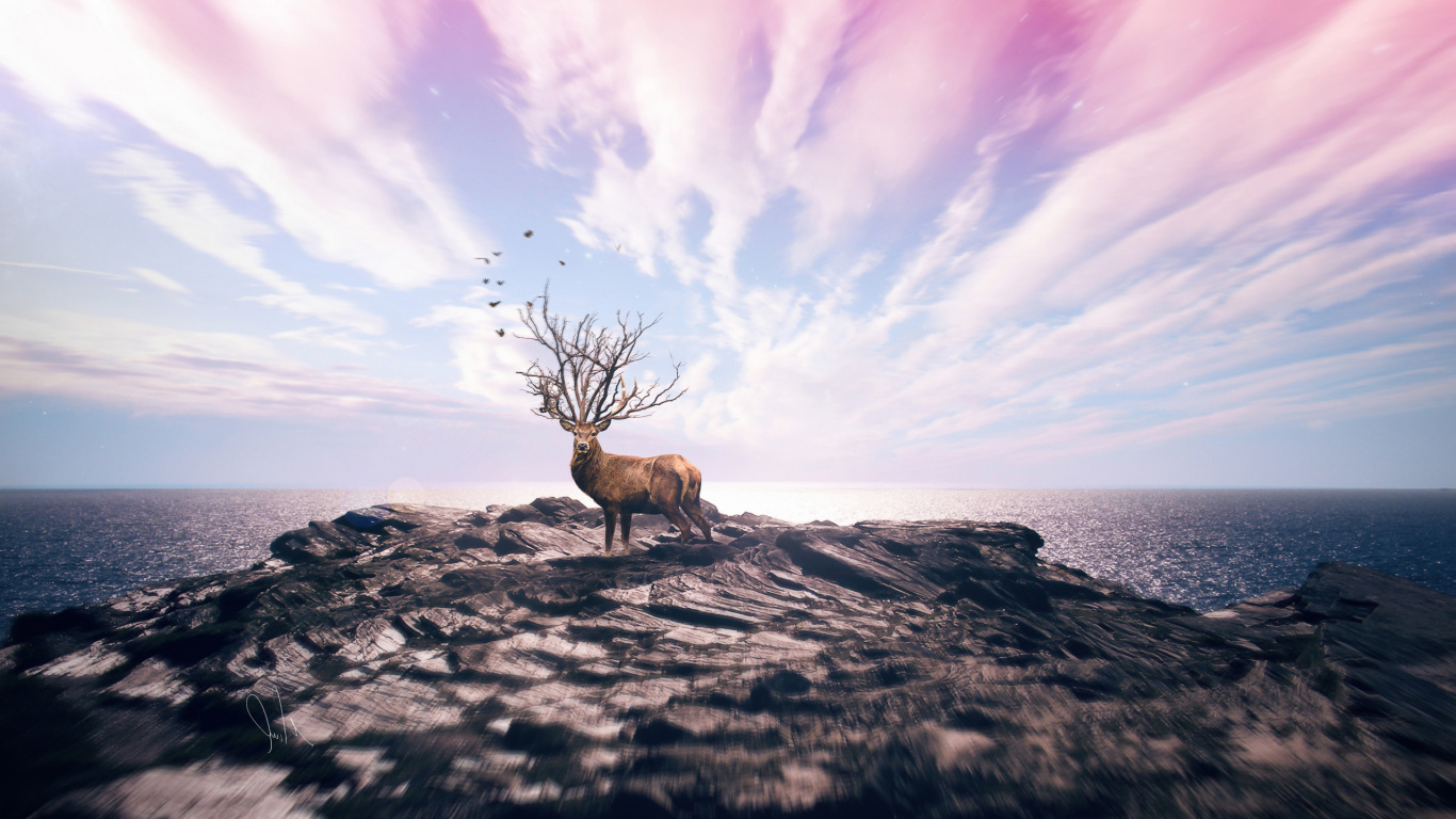 Brown Deer on Gray Rock Formation Under White Clouds and Blue Sky During Daytime. Wallpaper in 1366x768 Resolution