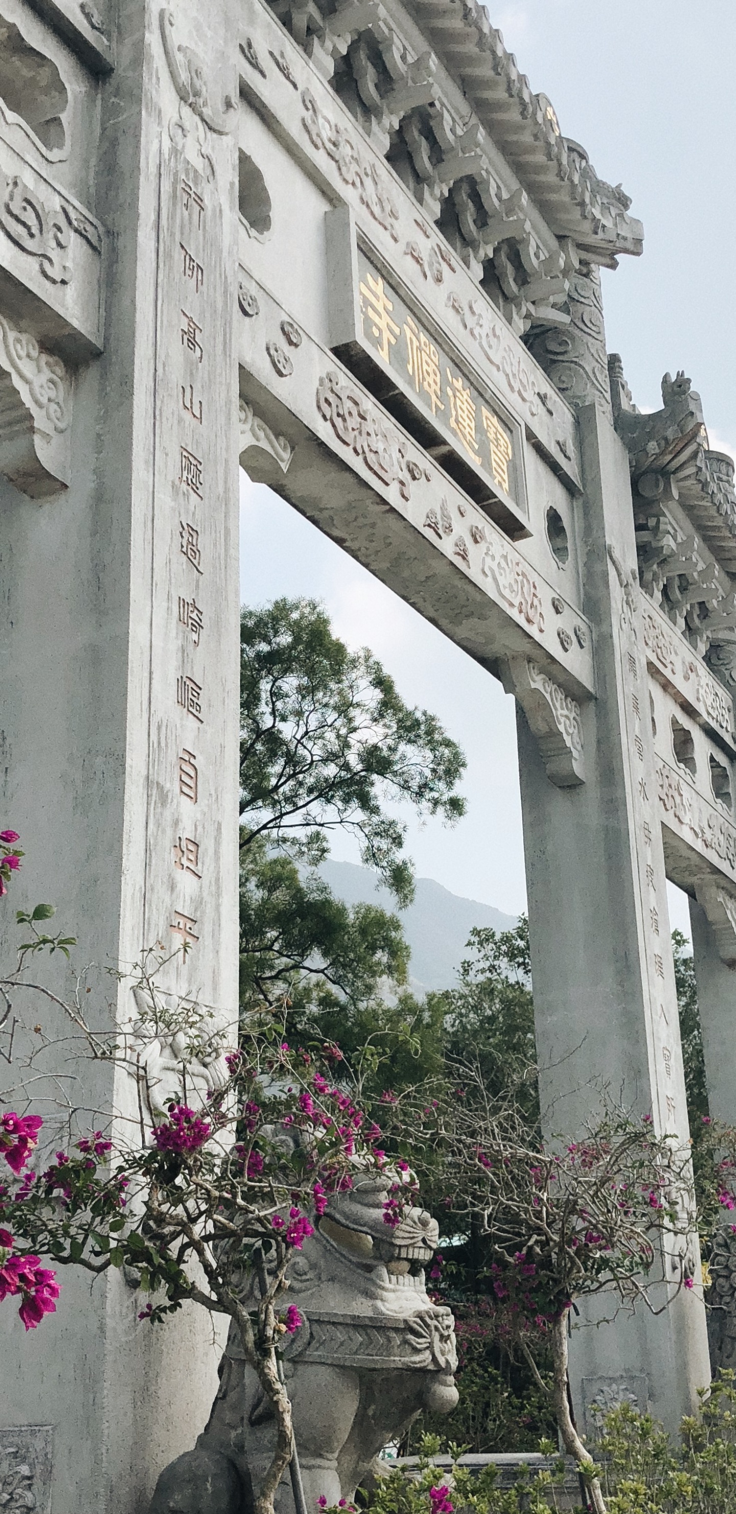 灌木, 弹簧, 纪念碑, 花园, 古罗马建筑 壁纸 1440x2960 允许