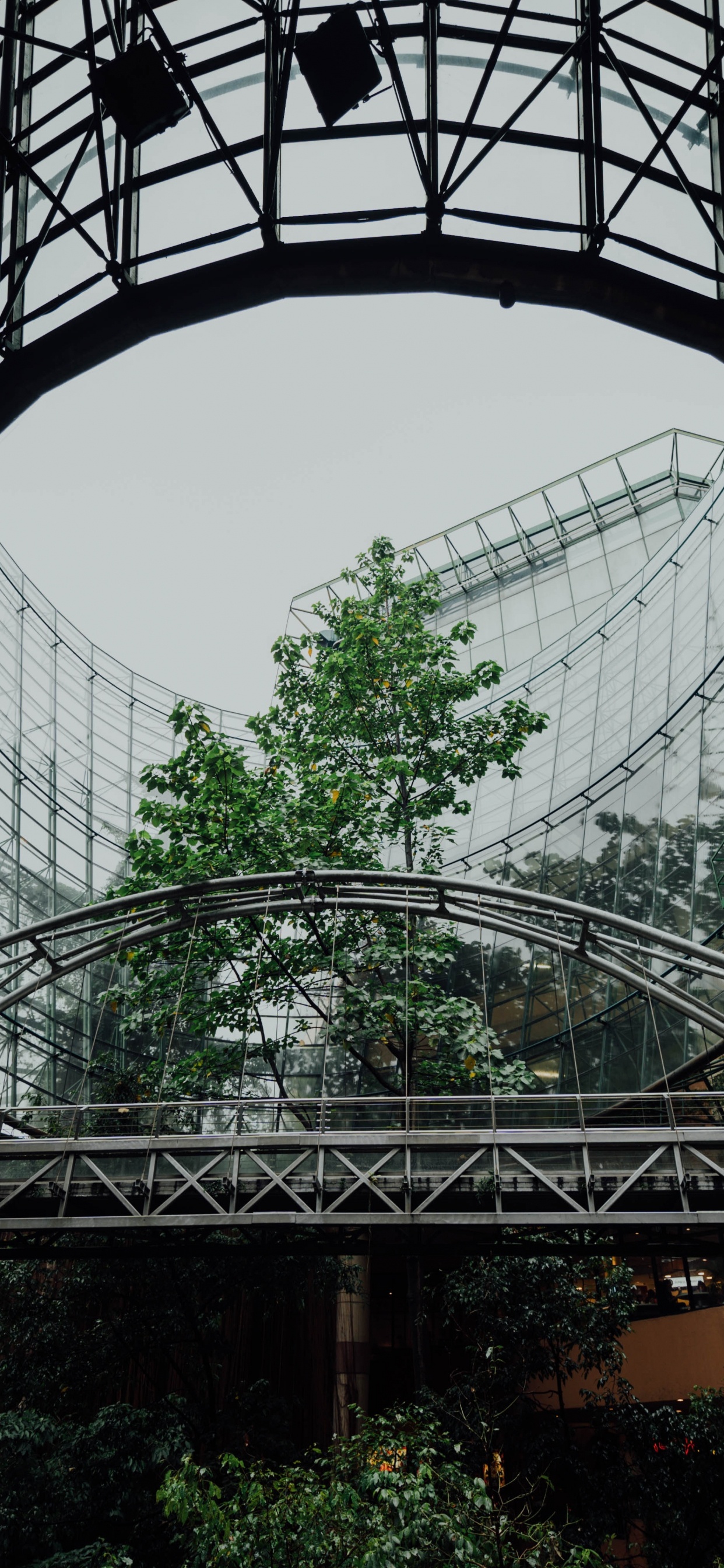 Cadre en Métal Noir Sur Table en Bois Marron. Wallpaper in 1242x2688 Resolution