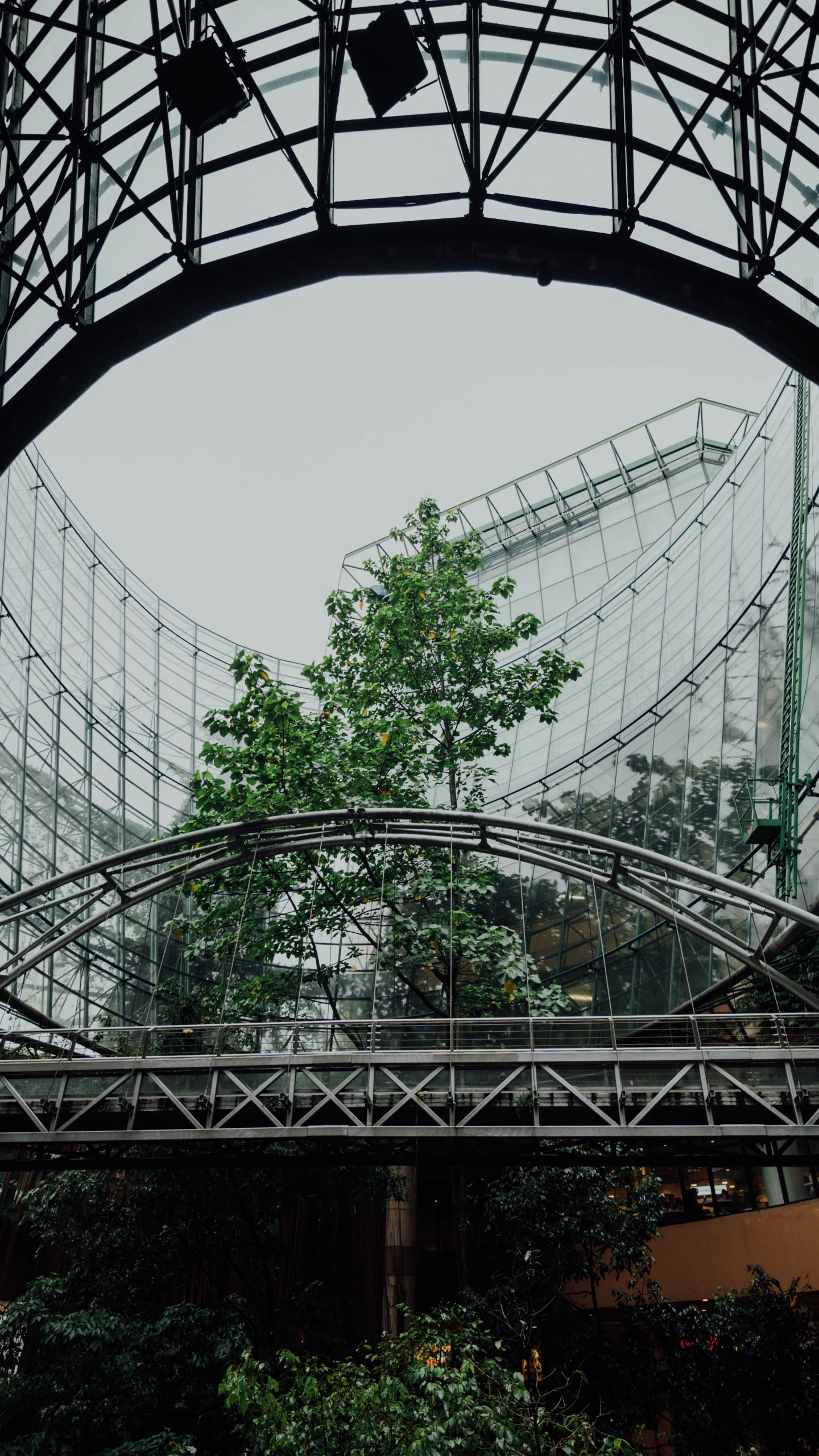 Cadre en Métal Noir Sur Table en Bois Marron. Wallpaper in 1440x2560 Resolution