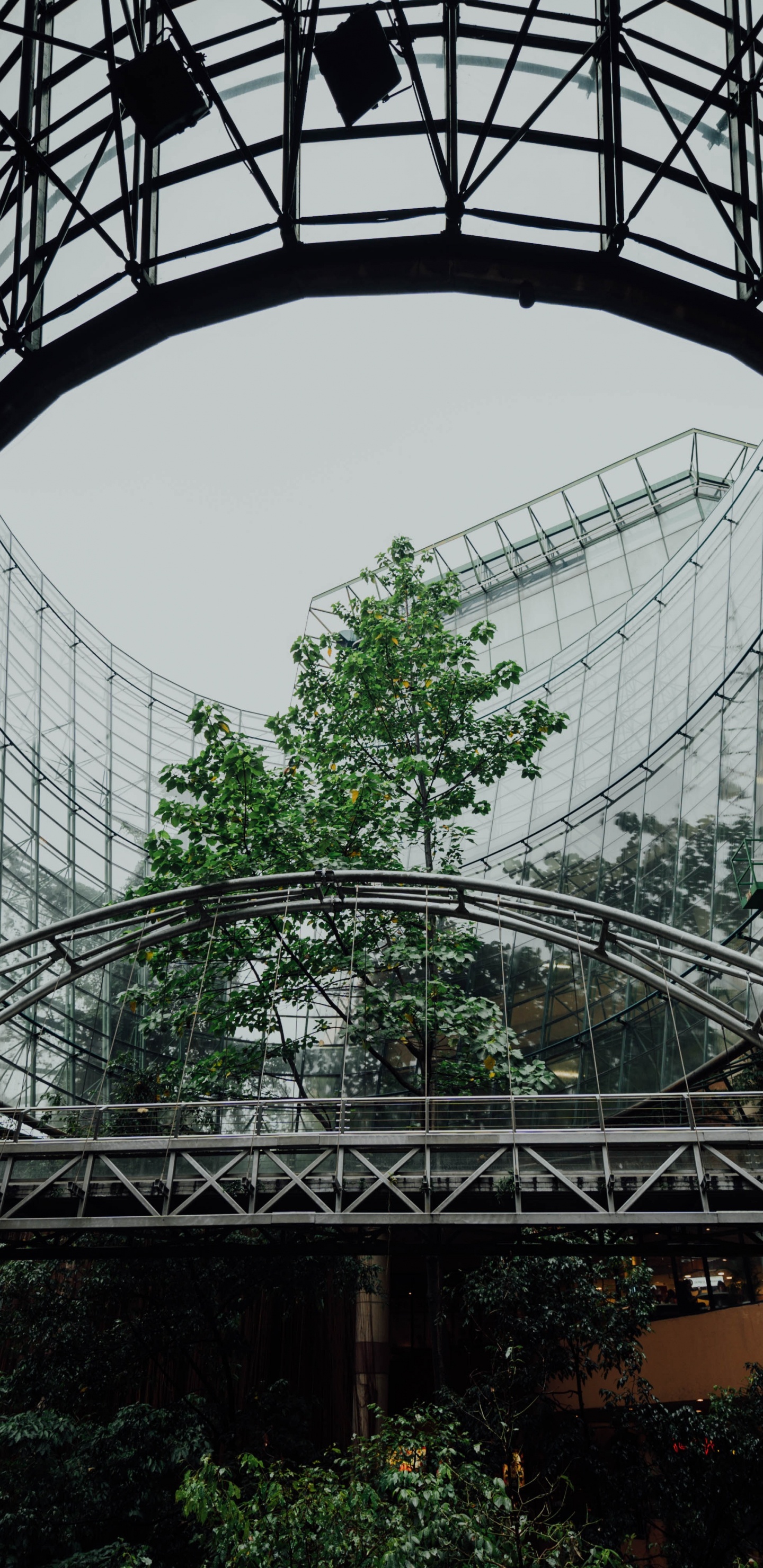 Estructura de Metal Negro Sobre Mesa de Madera Marrón. Wallpaper in 1440x2960 Resolution