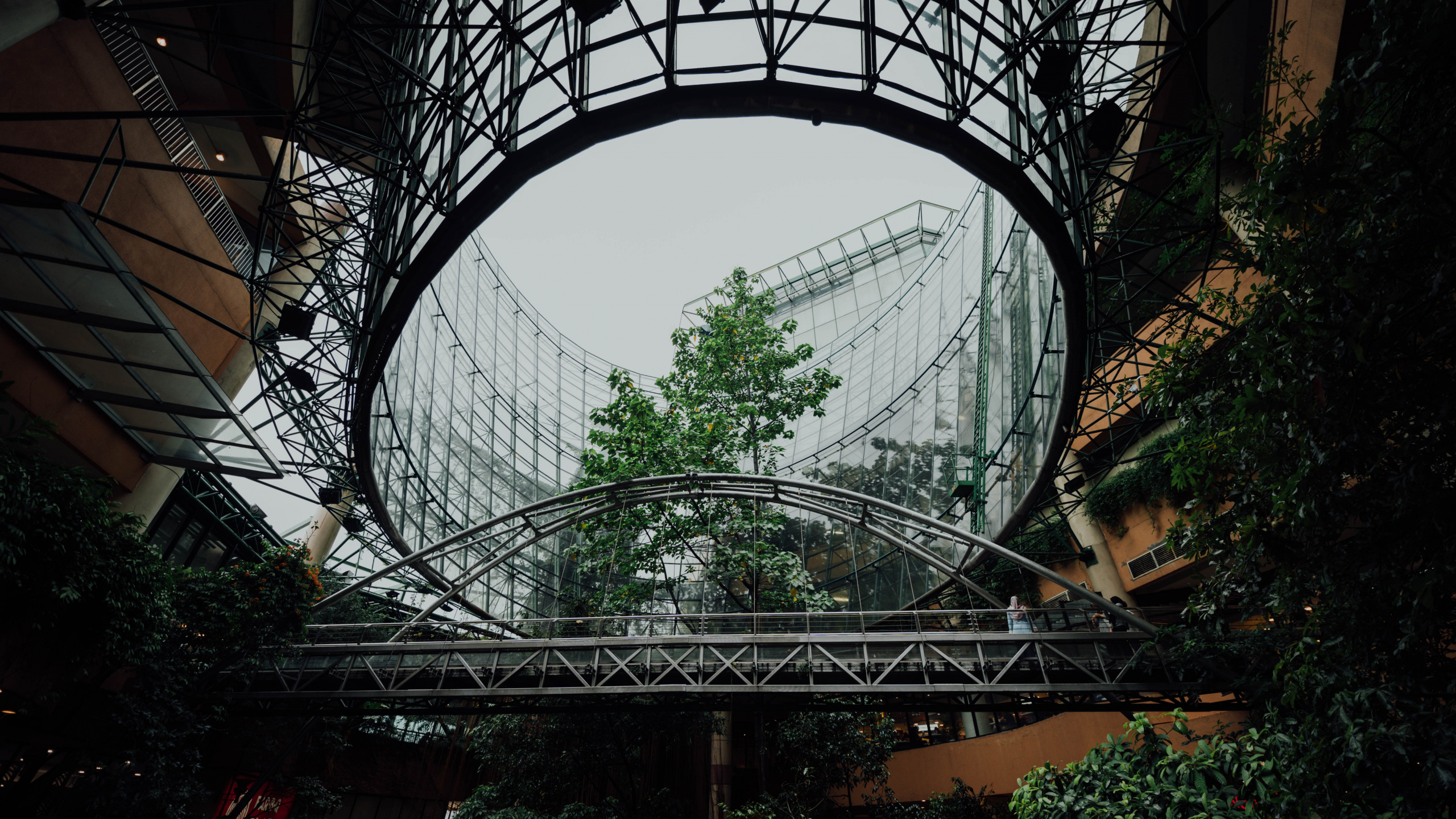 Schwarzer Metallrahmen Auf Braunem Holztisch. Wallpaper in 2560x1440 Resolution