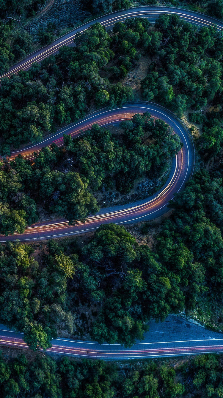 Nature, Leaf, Rainforest, Vegetation, Tree. Wallpaper in 750x1334 Resolution