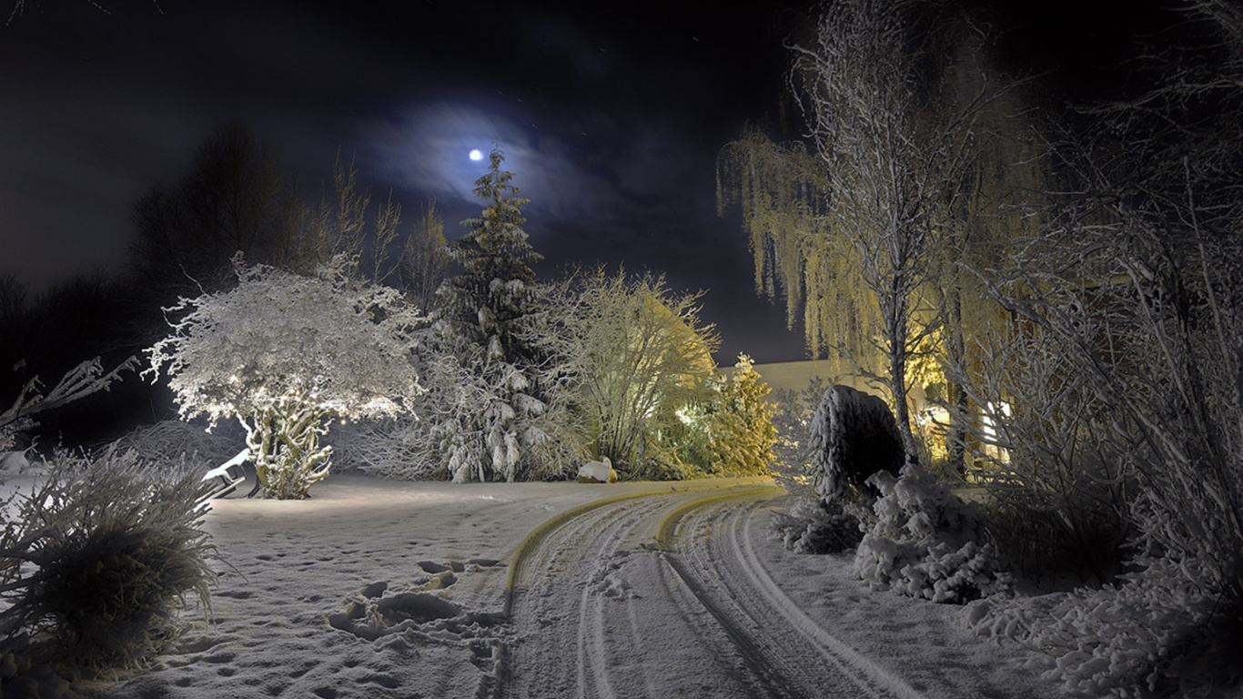 Schneebedeckte Straße Zwischen Bäumen Während Der Nachtzeit. Wallpaper in 1366x768 Resolution