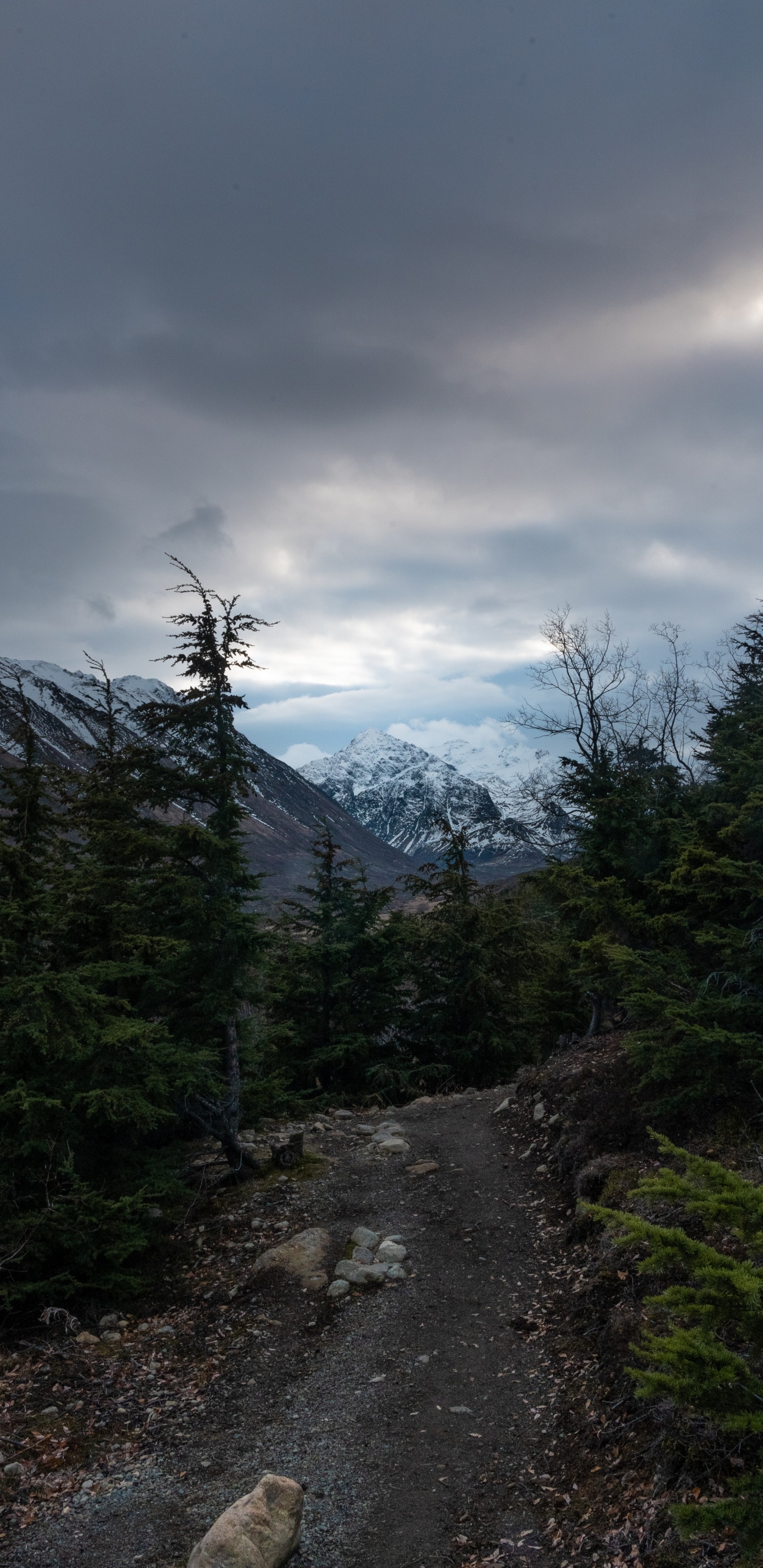 Ciel, Les Reliefs Montagneux, Highland, Spruce, Conifères. Wallpaper in 1440x2960 Resolution