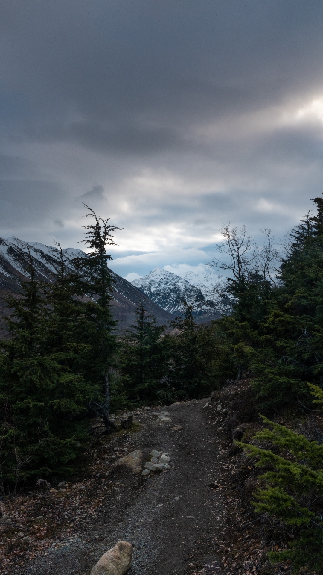 Sky, Mountainous Landforms, Highland, Spruce, Conifers. Wallpaper in 1080x1920 Resolution