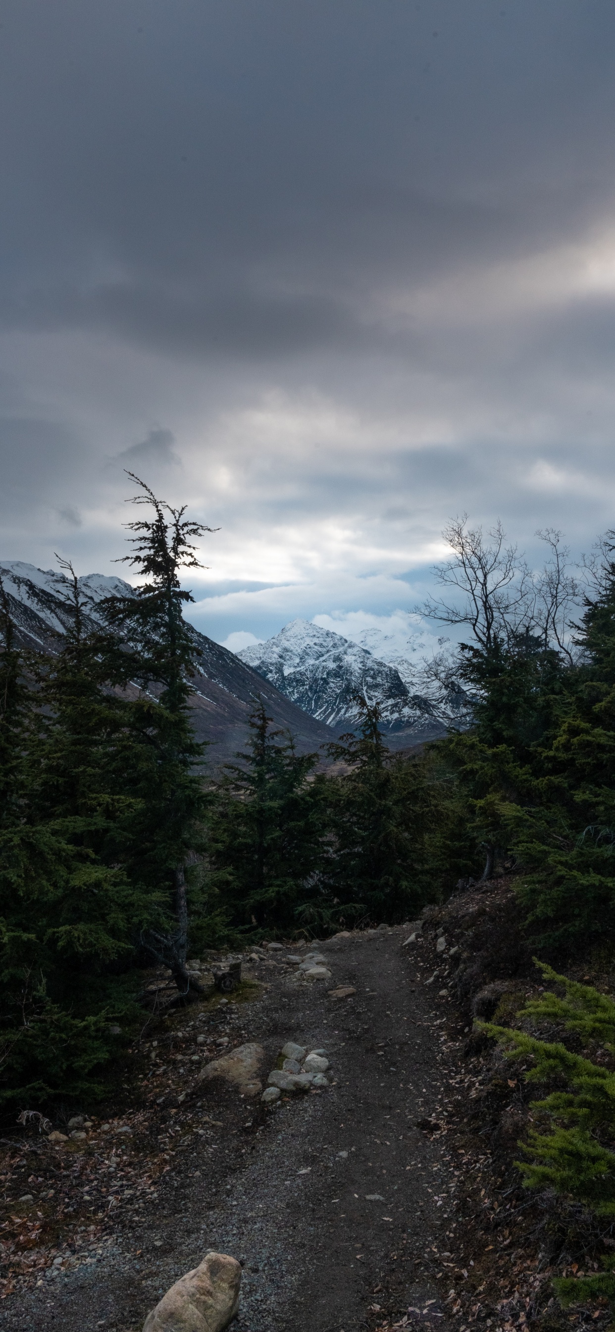 Sky, Mountainous Landforms, Highland, Spruce, Conifers. Wallpaper in 1242x2688 Resolution