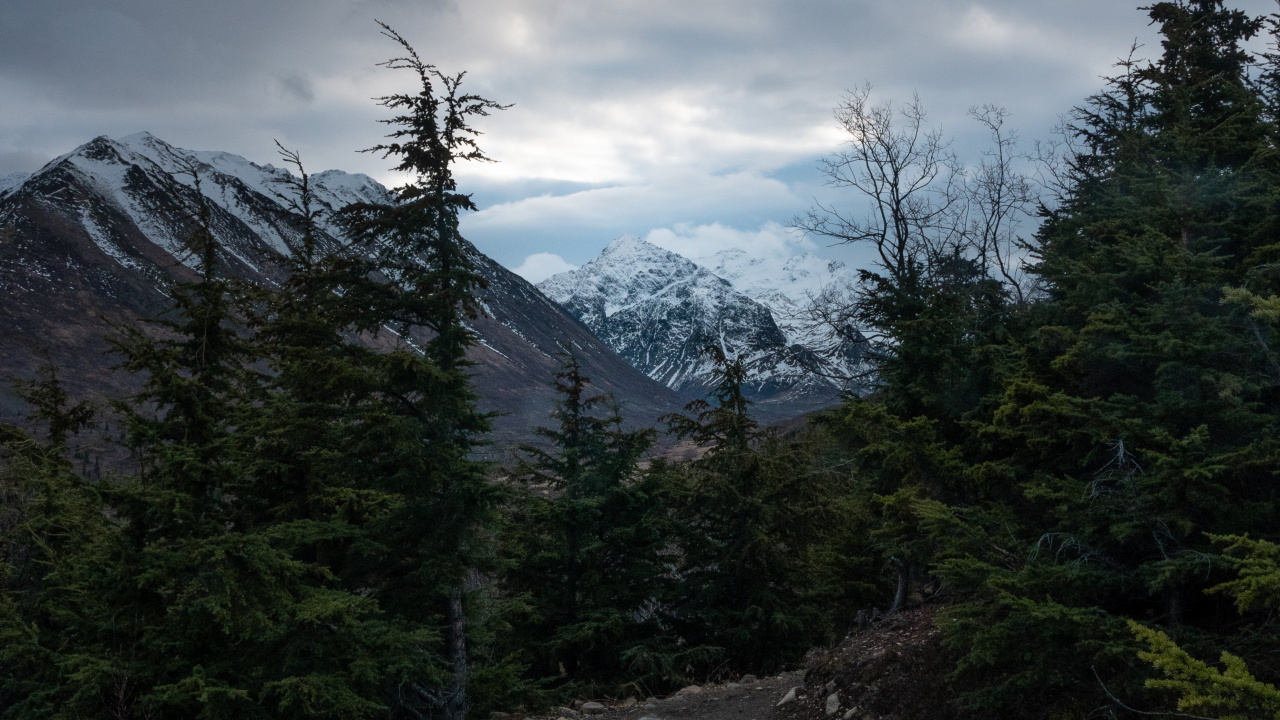 Sky, Mountainous Landforms, Highland, Spruce, Conifers. Wallpaper in 1280x720 Resolution