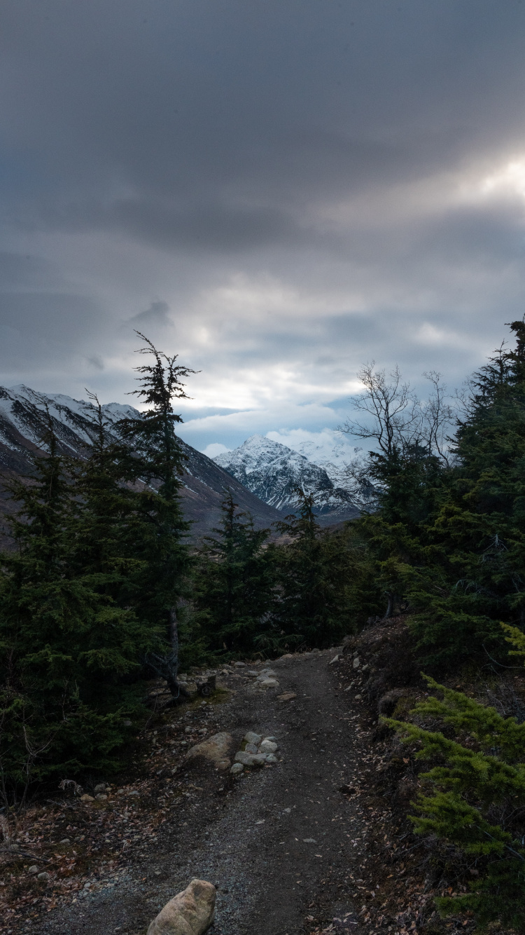 Sky, Mountainous Landforms, Highland, Spruce, Conifers. Wallpaper in 750x1334 Resolution