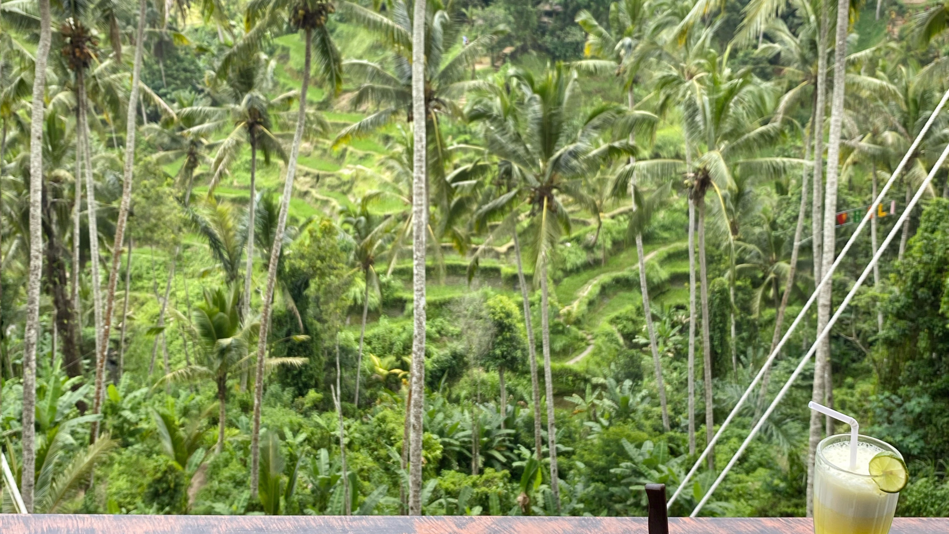 Coco, Palmera, Alimento, Bandejas de Servir, Cocina. Wallpaper in 1920x1080 Resolution