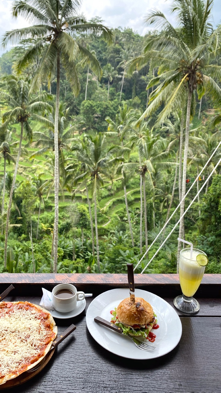 Kokosnuss, Palme, Lebensmittel, Serveware, Kochen. Wallpaper in 720x1280 Resolution