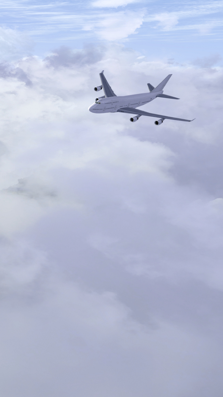 航班, 客机, 航空, 航空公司, 空中旅行 壁纸 750x1334 允许