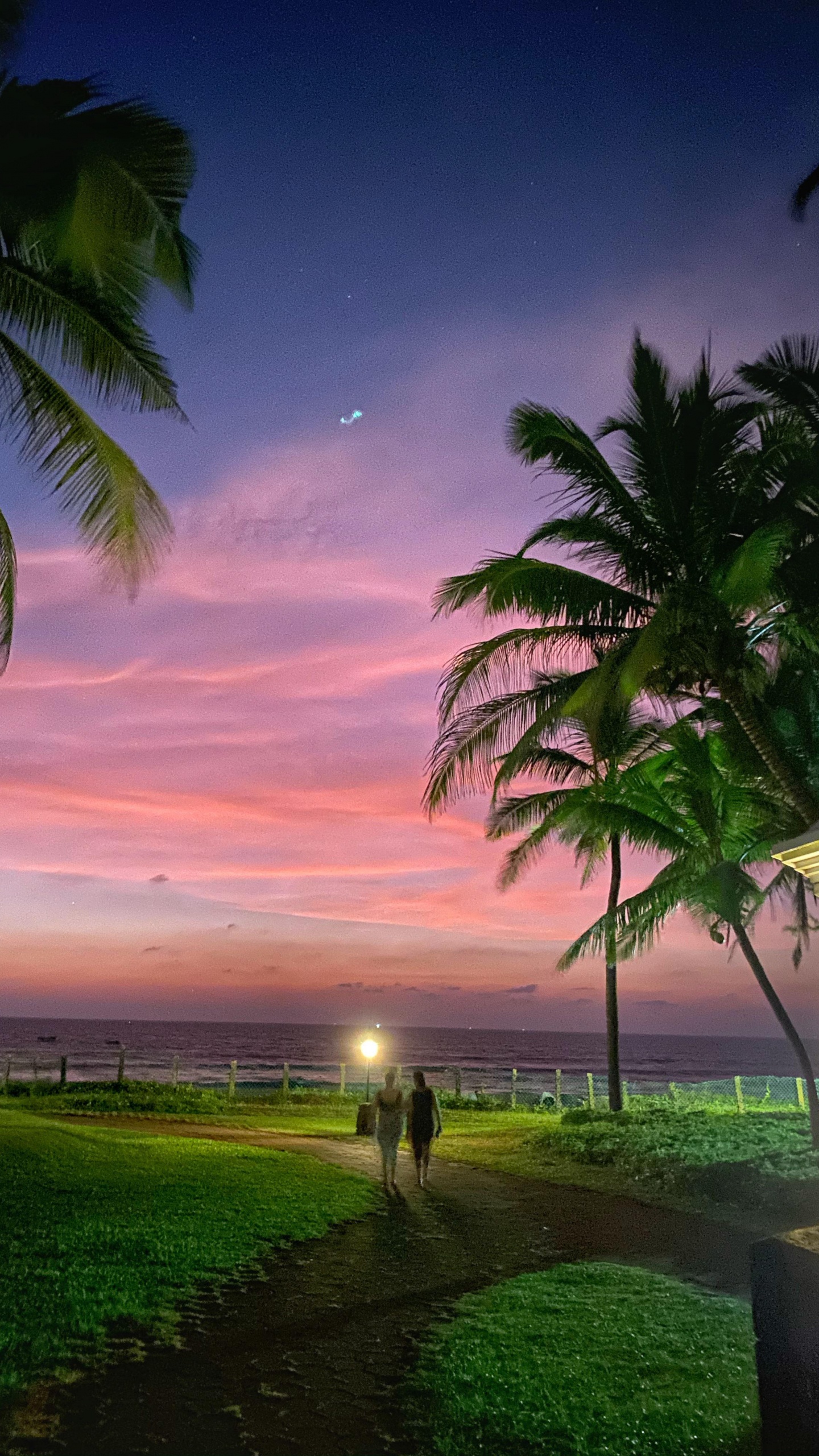 Naturaleza, Ambiente, Luz, Verde, Agua. Wallpaper in 1440x2560 Resolution