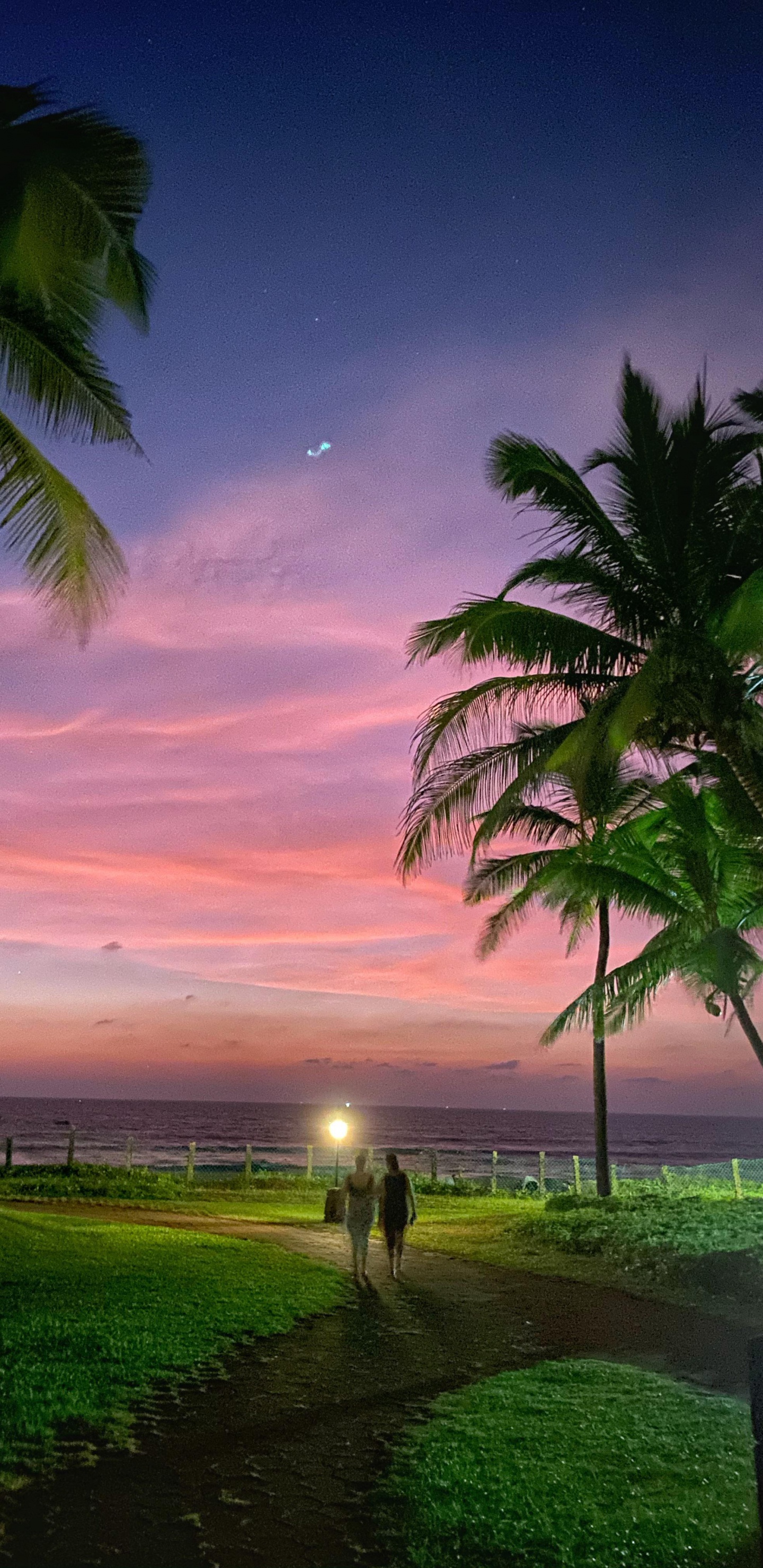 Naturaleza, Ambiente, Luz, Verde, Agua. Wallpaper in 1440x2960 Resolution