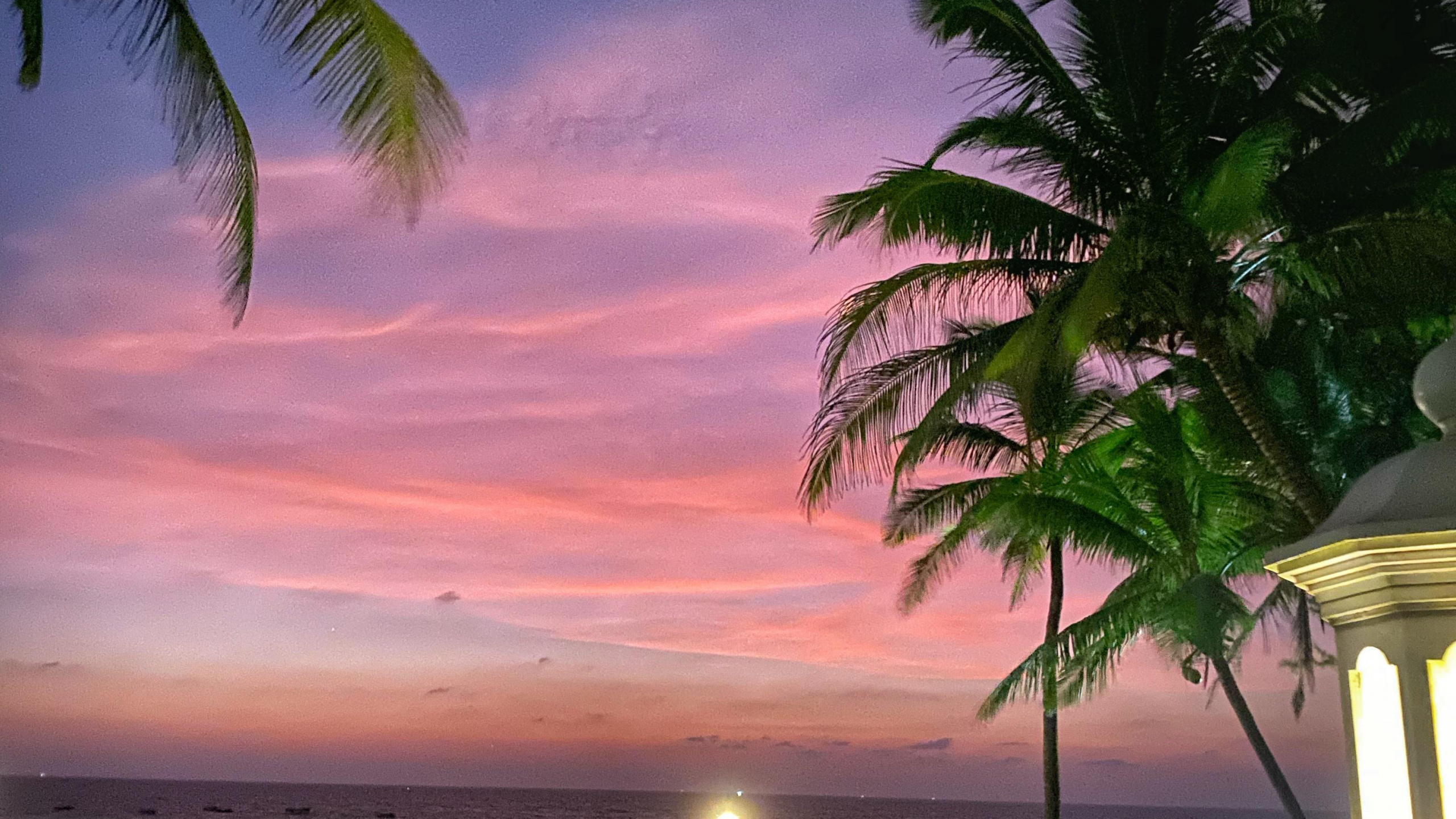 Naturaleza, Ambiente, Luz, Verde, Agua. Wallpaper in 2560x1440 Resolution