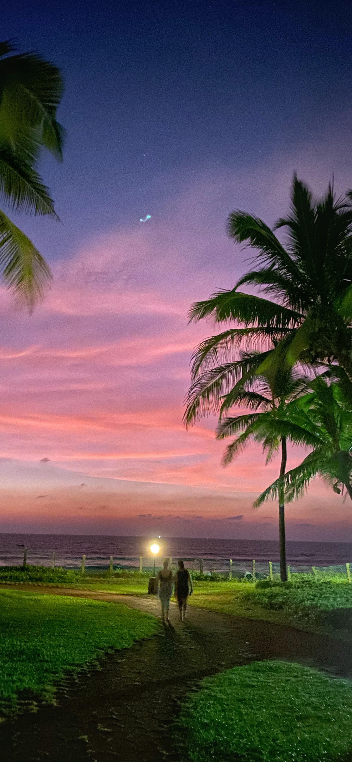 Nature, Cloud, Atmosphere, Plant, Light. Wallpaper in 1125x2436 Resolution